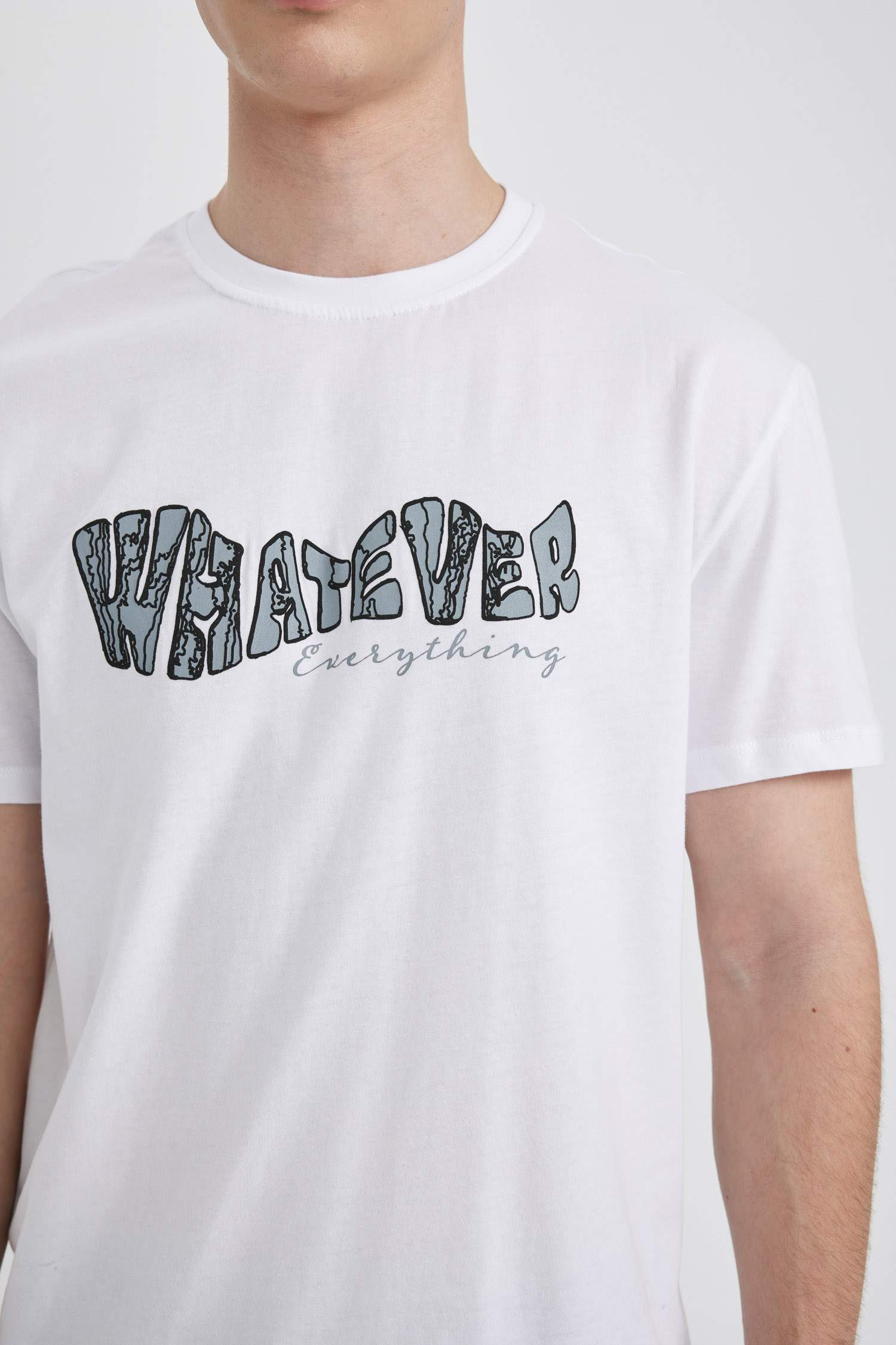 Regular Fit Bisiklet Yaka Baskılı Kısa Kollu Tişört