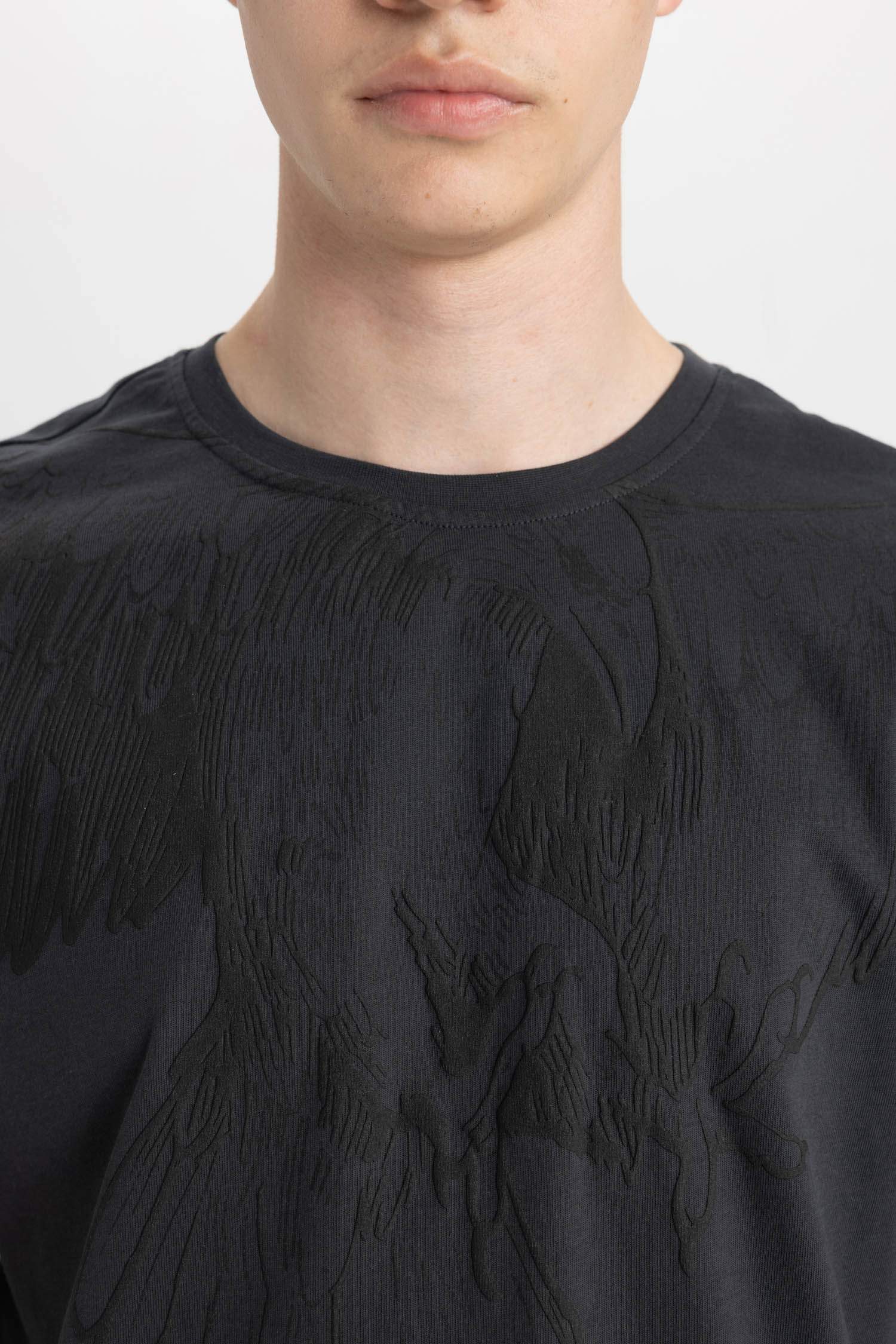 Regular Fit Bisiklet Yaka Baskılı Kısa Kollu Tişört