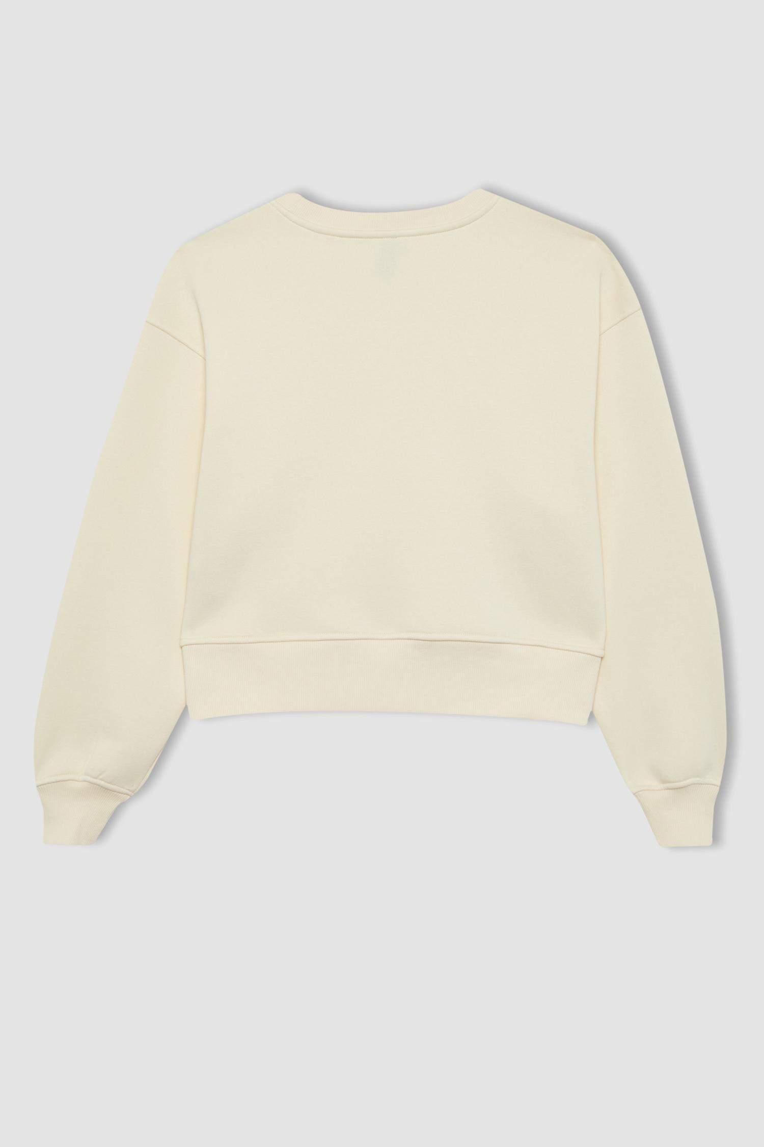 سويت شيرت قصة مريحة بياخة مستديرة