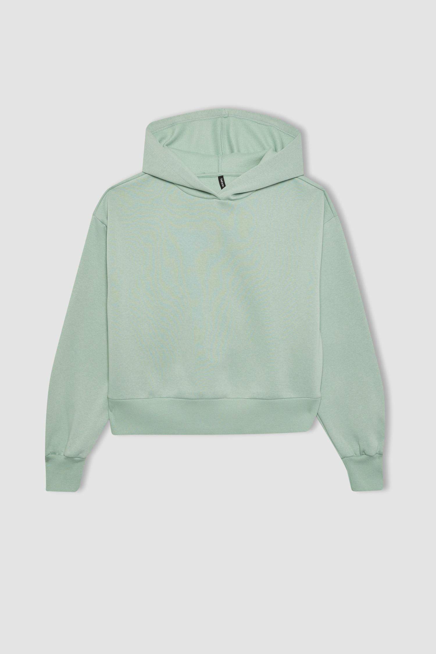 Boxy Fit Thick Hooded Sweatshirt