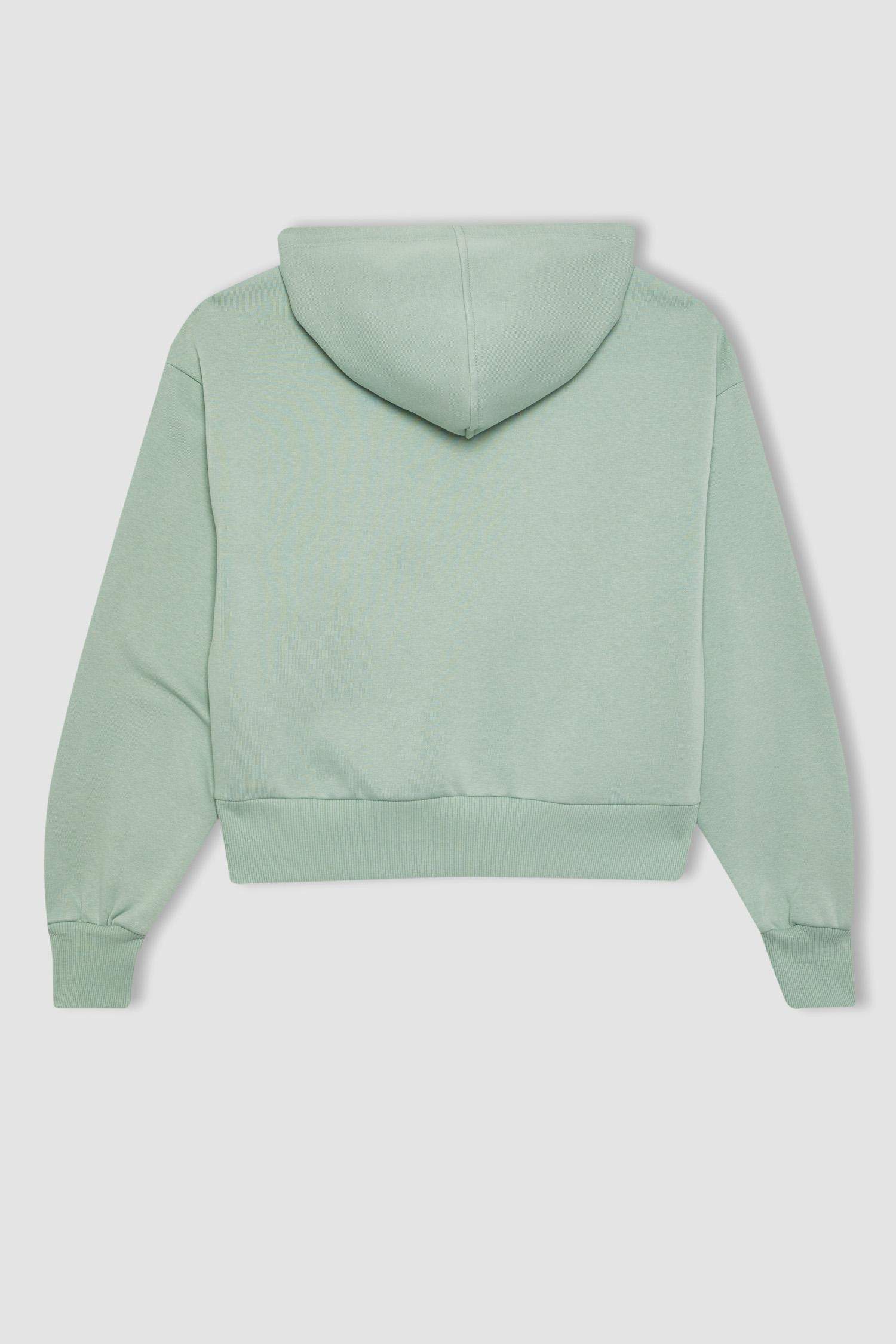 Boxy Fit Thick Hooded Sweatshirt