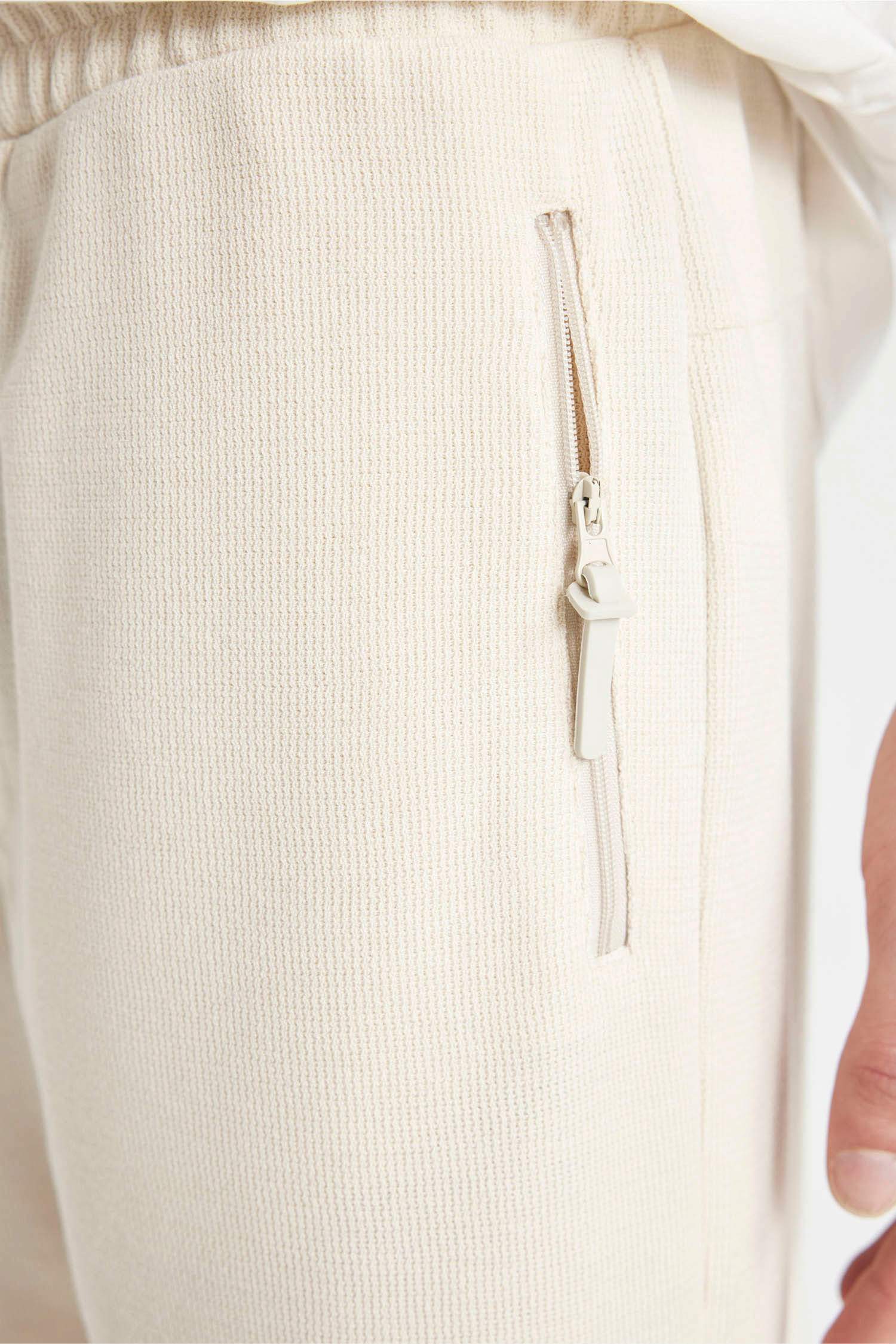 Regular Fit Regular Hem Shorts