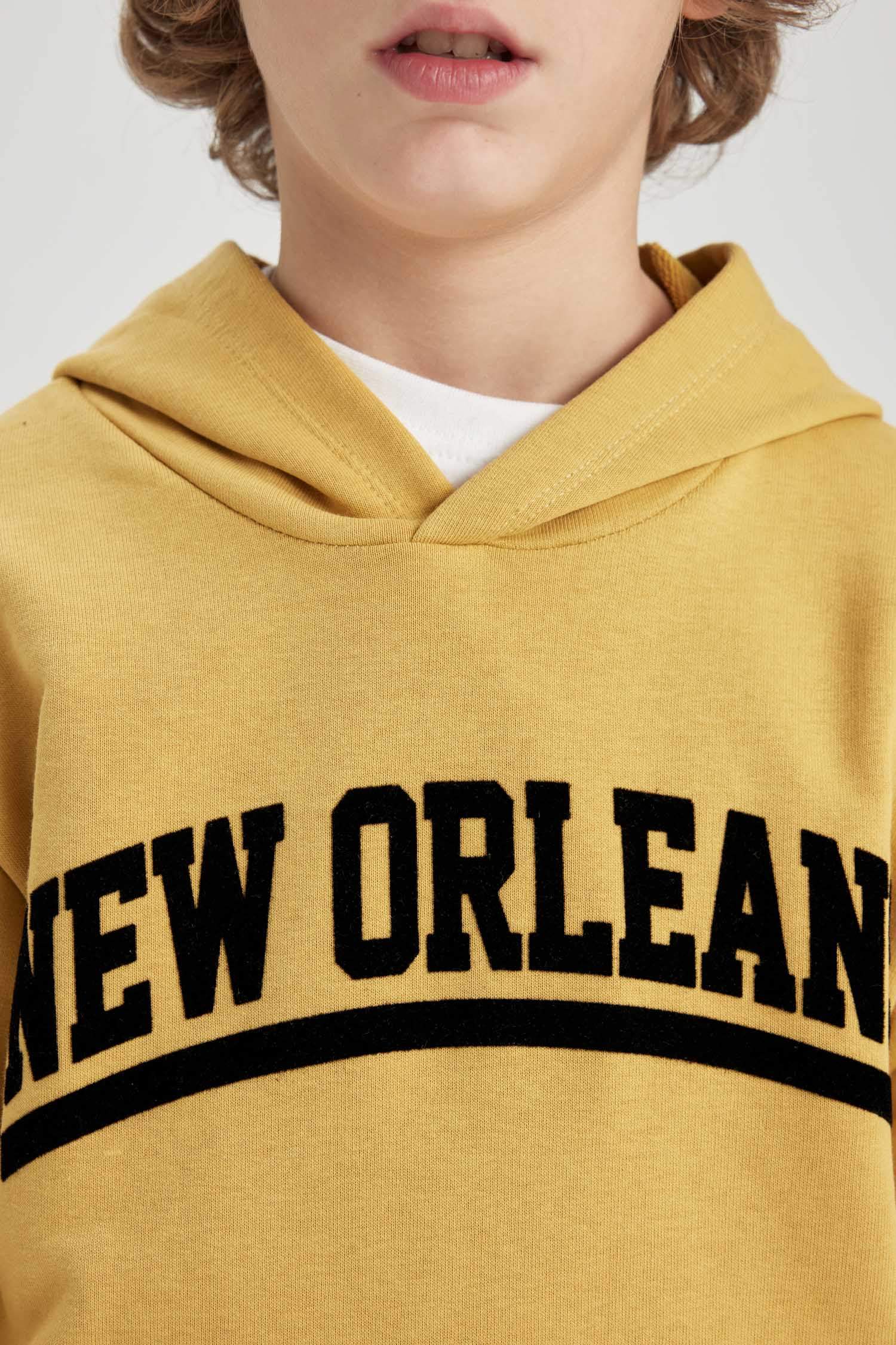 Erkek Çocuk Baskılı Kapüşonlu Kalın Sweatshirt