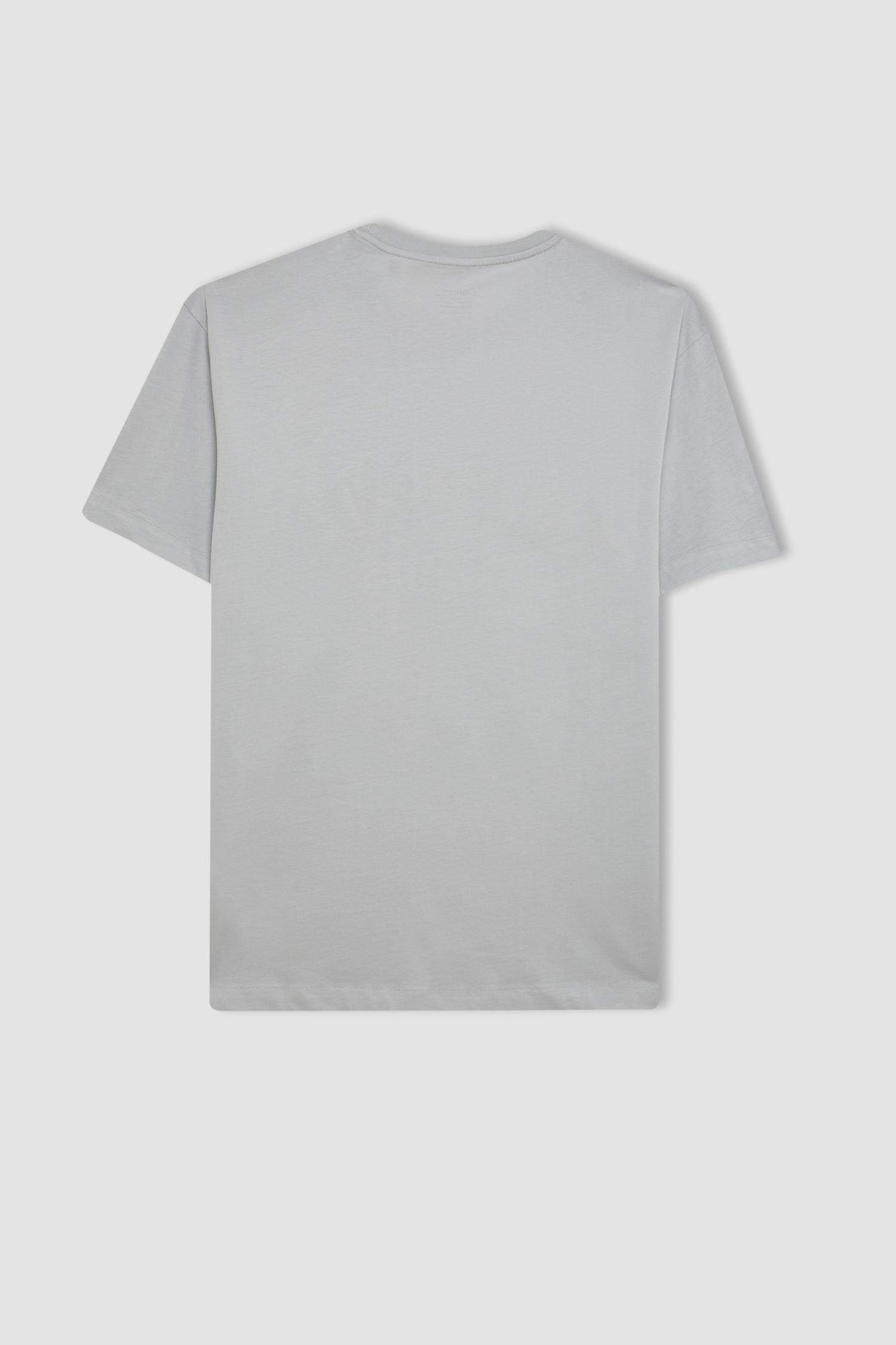 Regular Fit Crew Neck Printed Short Sleeve T-Shirt