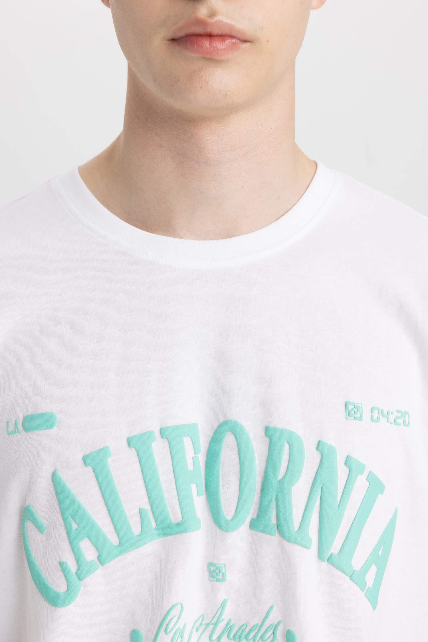 Regular Fit Crew Neck Printed Short Sleeve T-Shirt