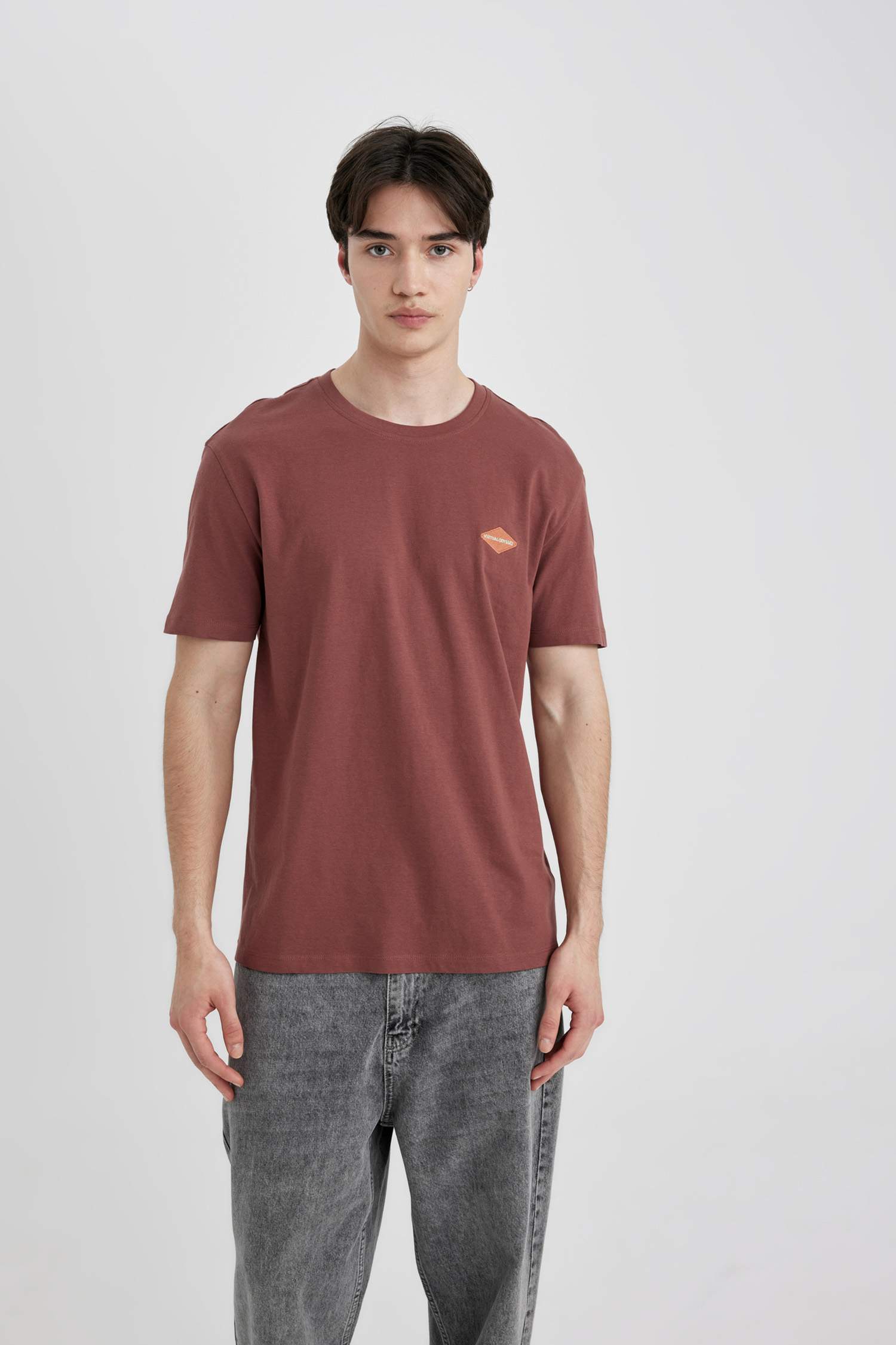 تيشيرت نص ردن مطبوع بياخة مستديرة وقصة عادية