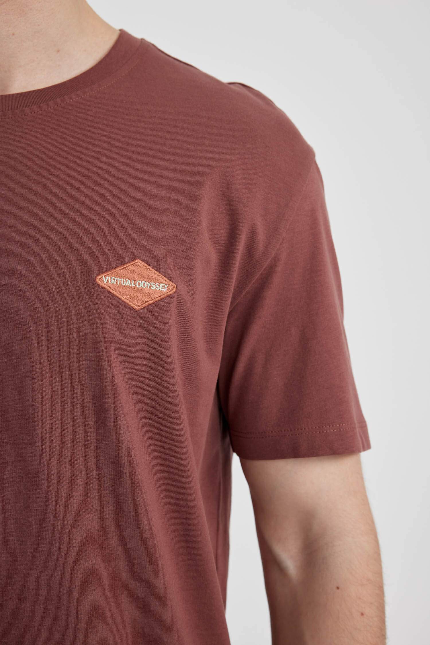 تيشيرت نص ردن مطبوع بياخة مستديرة وقصة عادية