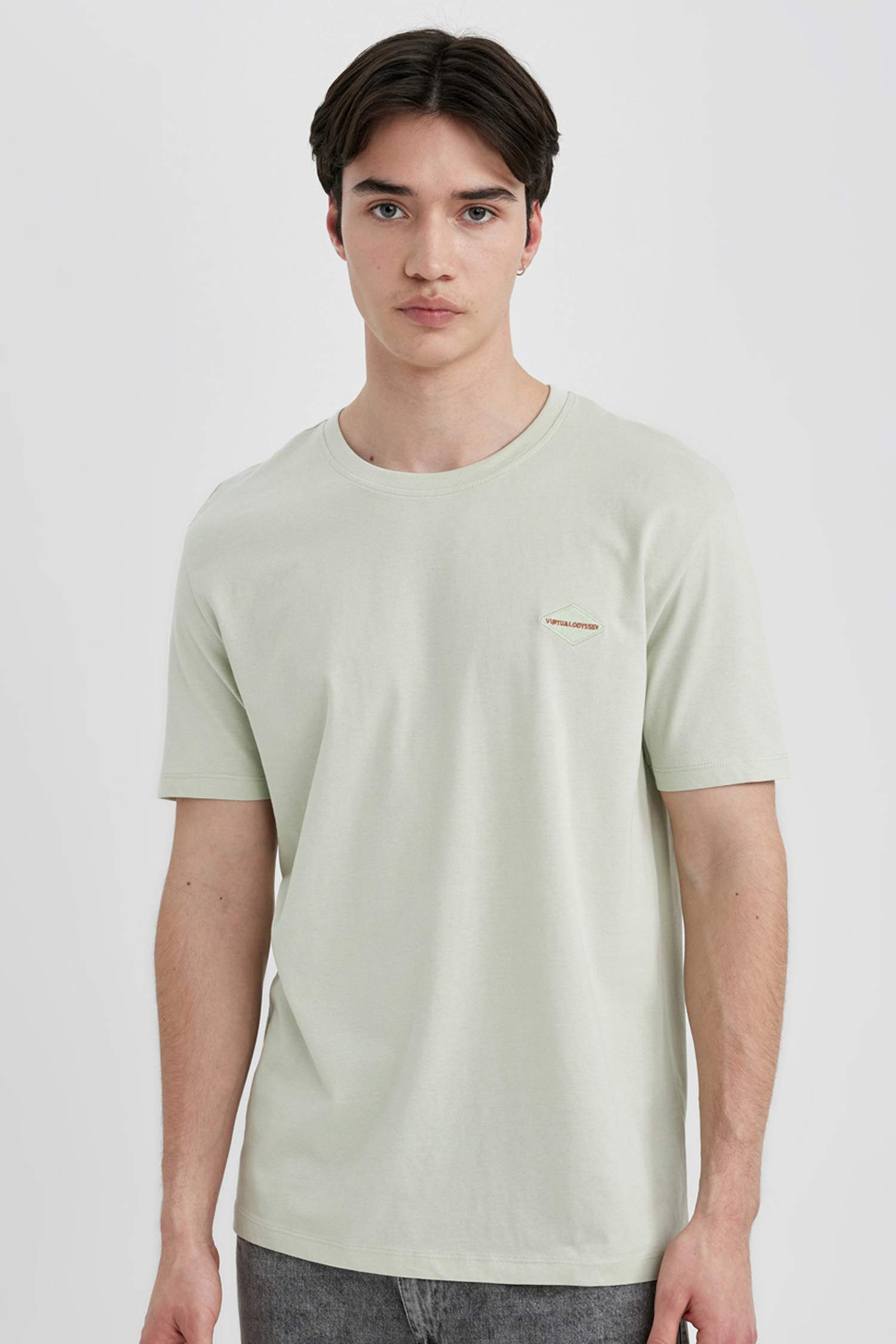 تيشيرت نص ردن مطبوع بياخة مستديرة وقصة عادية