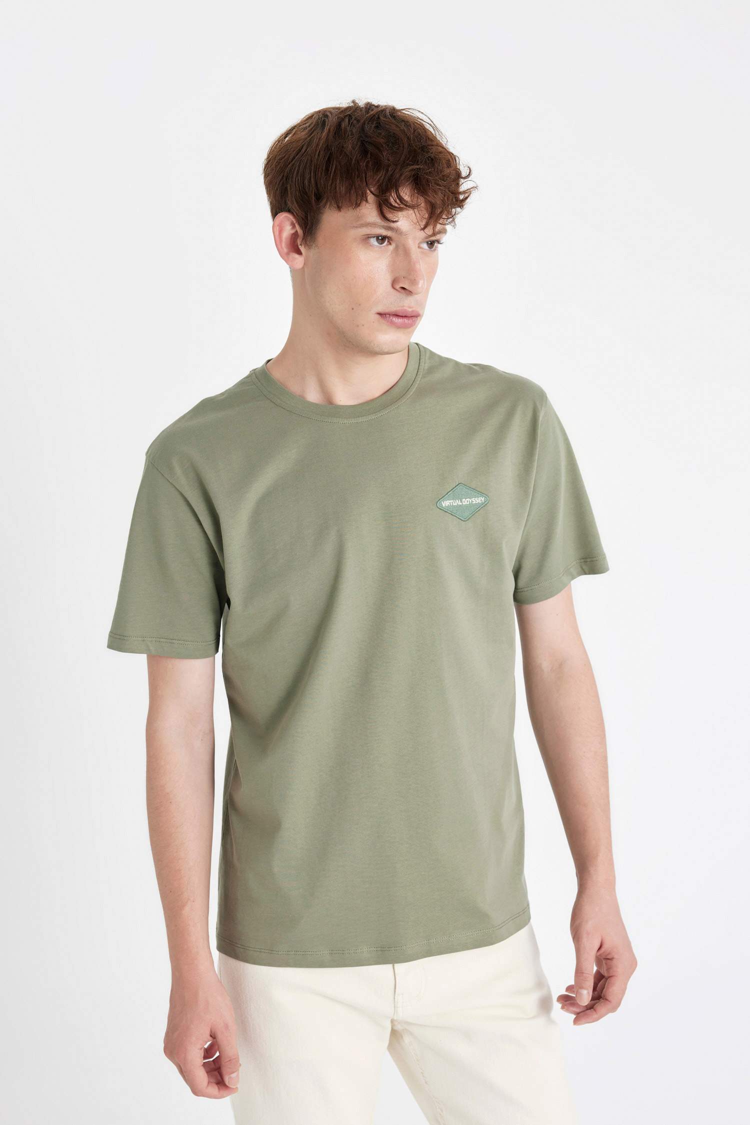 Regular Fit Crew Neck Printed T-Shirt