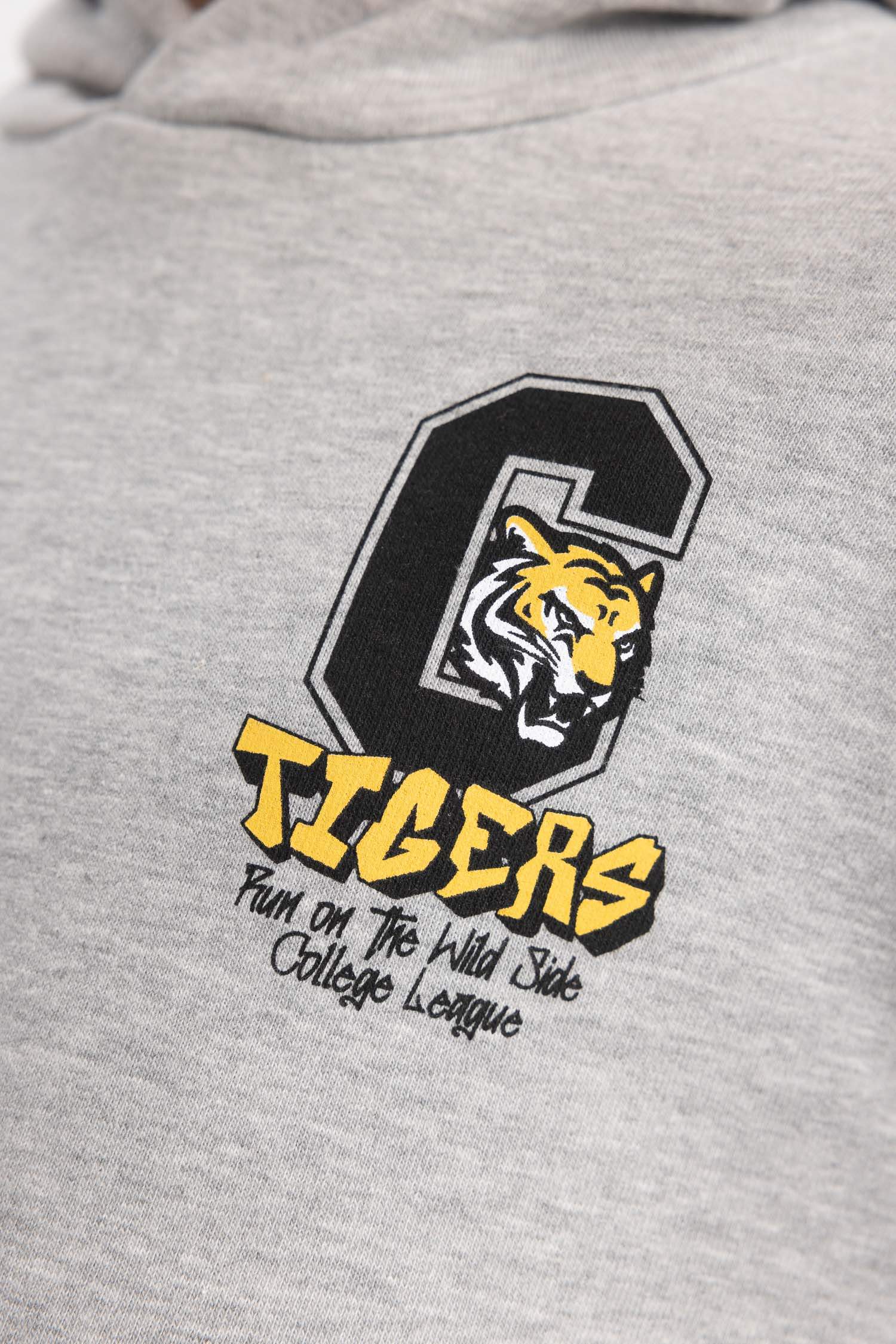 Erkek Çocuk Baskılı Kapüşonlu Sweatshirt