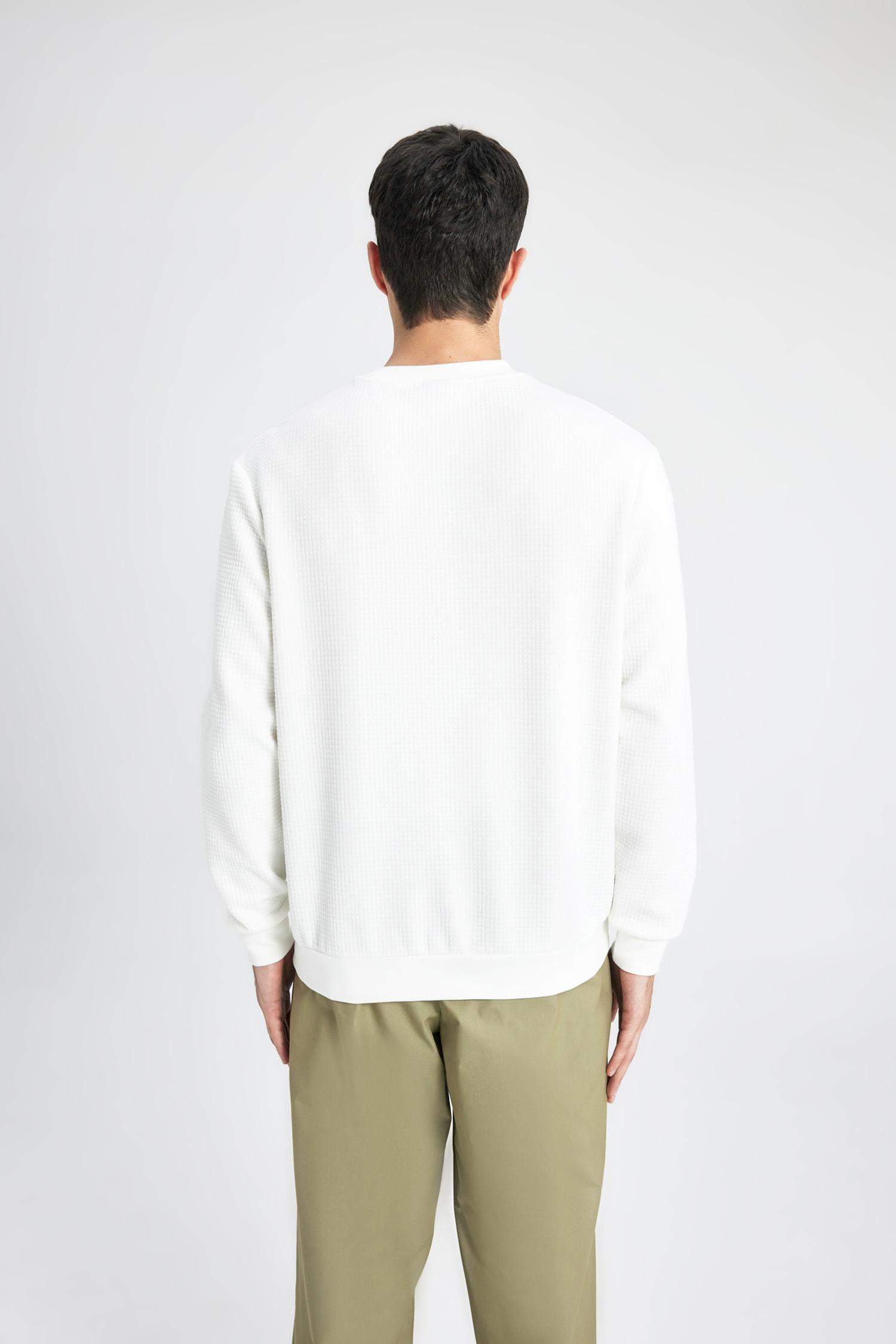 Regular Fit Bisiklet Yaka Sweatshirt
