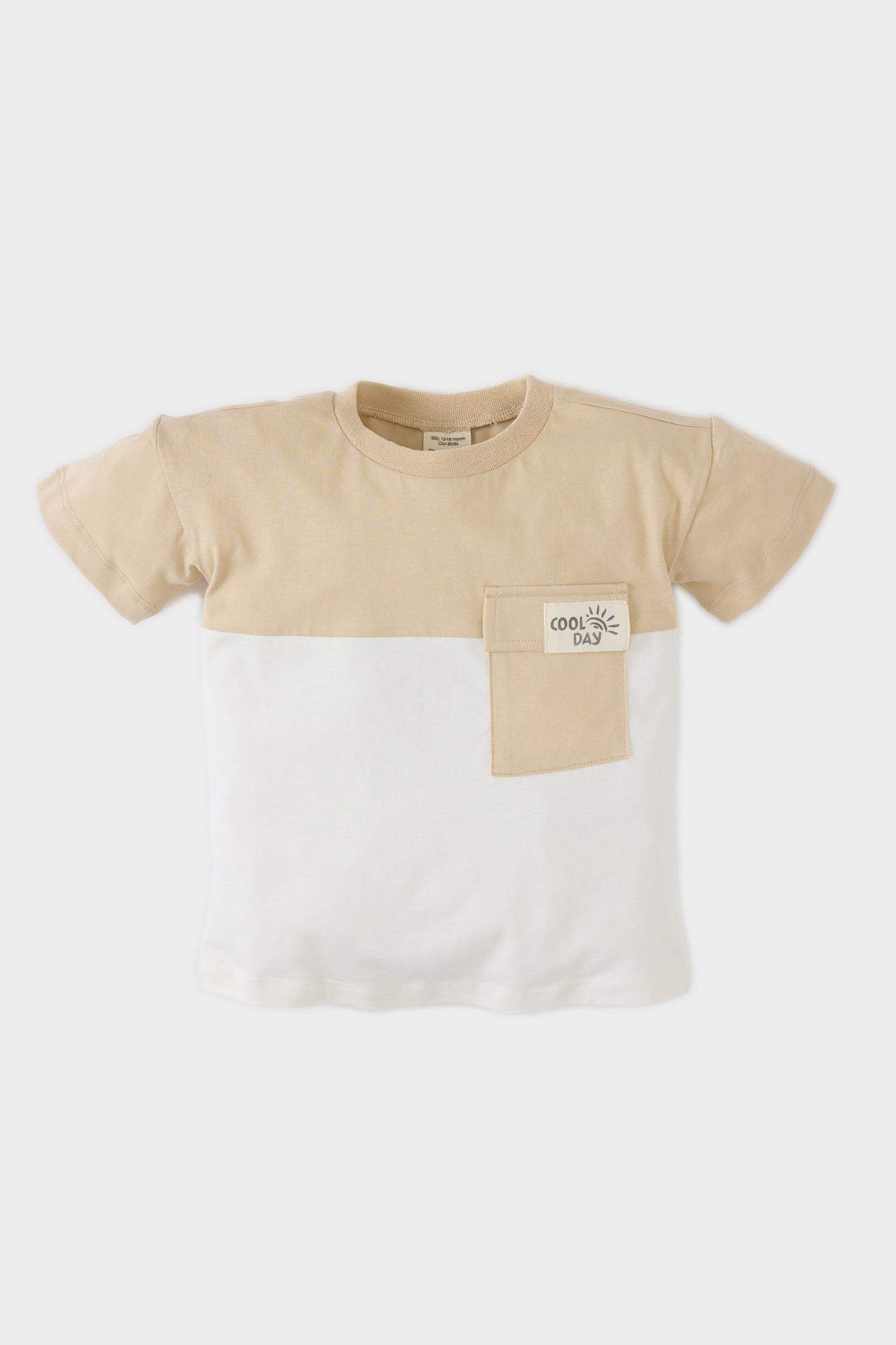 Baby Boy Regular Fit Crew Neck Color Block T-Shirt