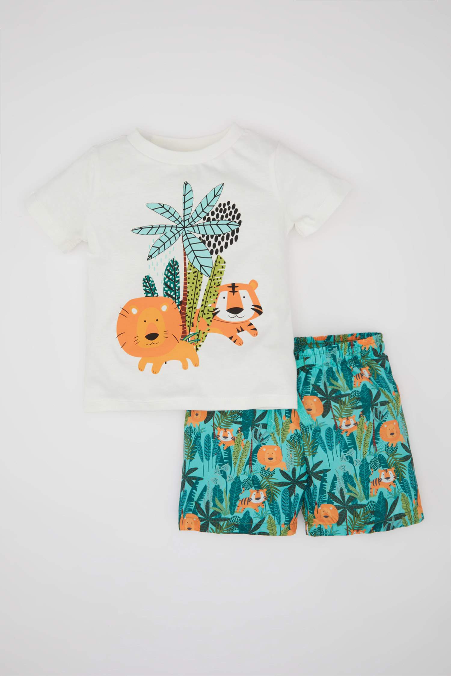 Baby Boy Printed Short Sleeve T-Shirt Shorts 2 Piece Set