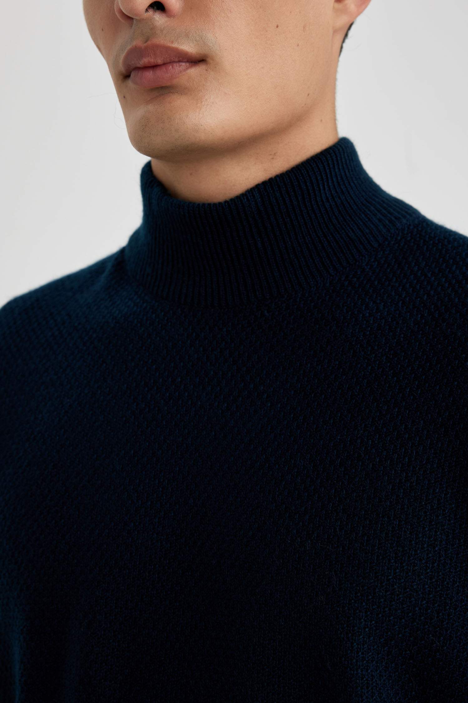 Standard Fit Turtleneck Basic Knitted Pullover