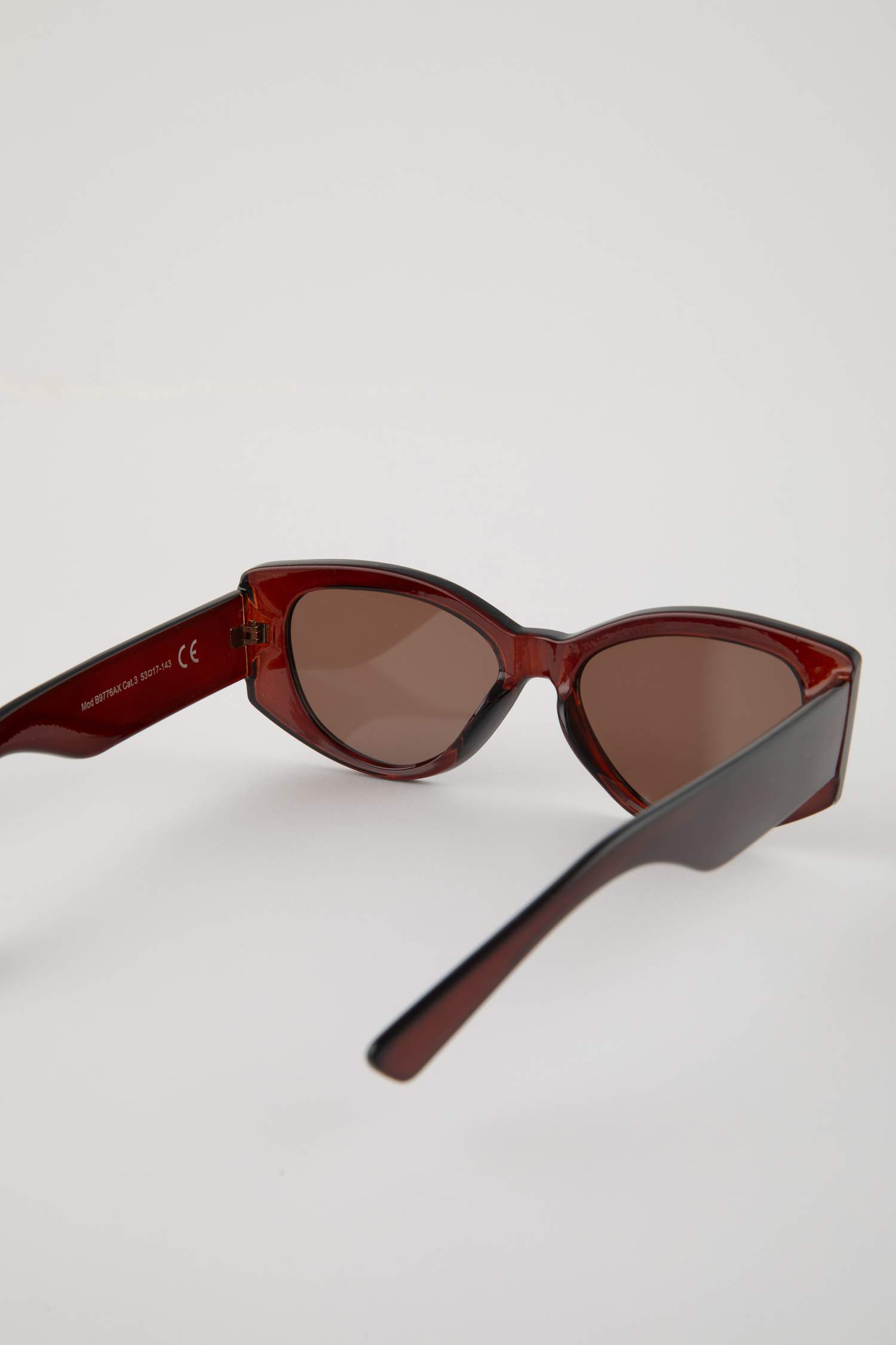 Woman Rectangular Plastic Sunglasses