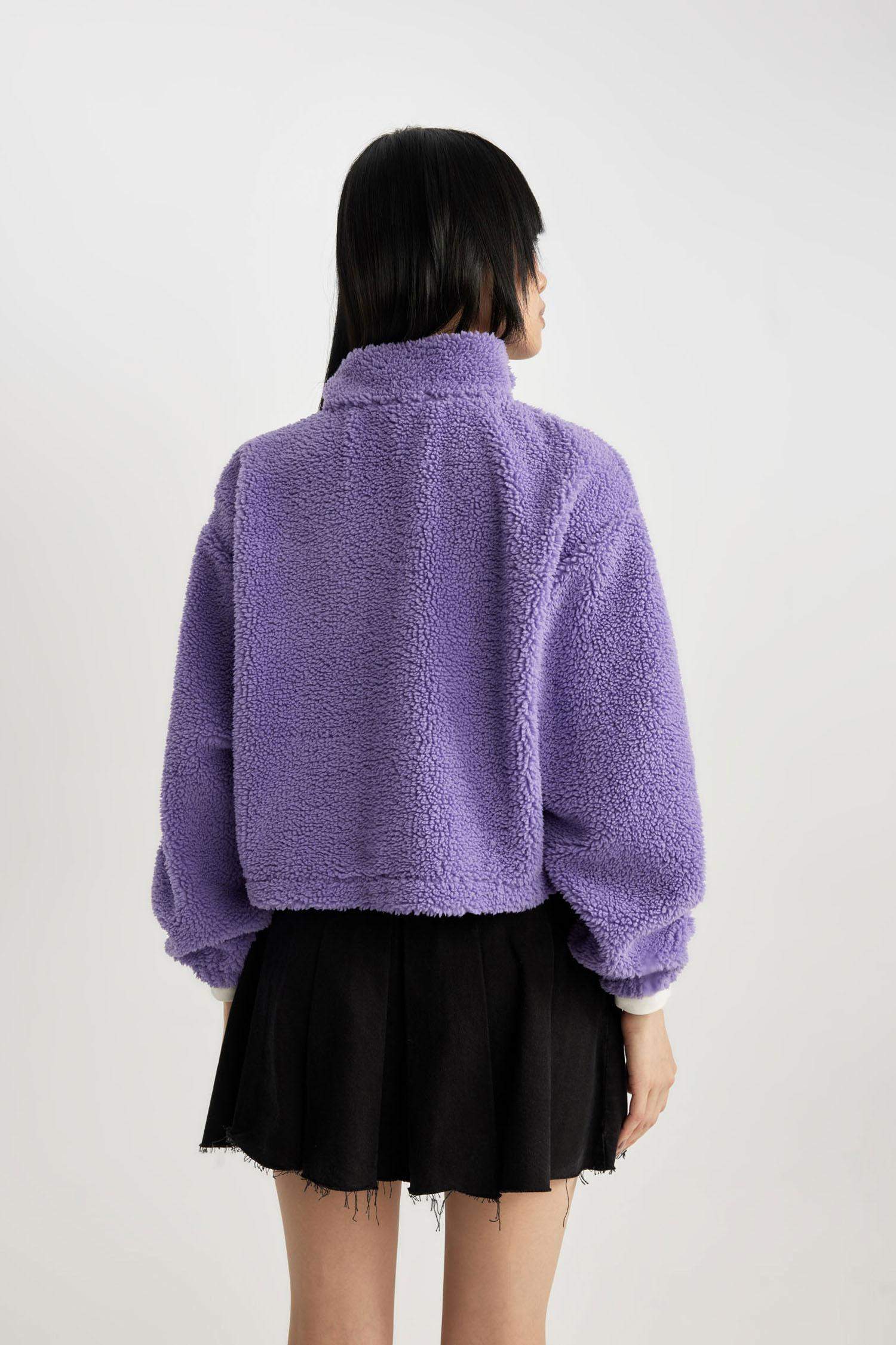 Oversize Fit Zippered Stand Collar Basic Plush Sweatshirt