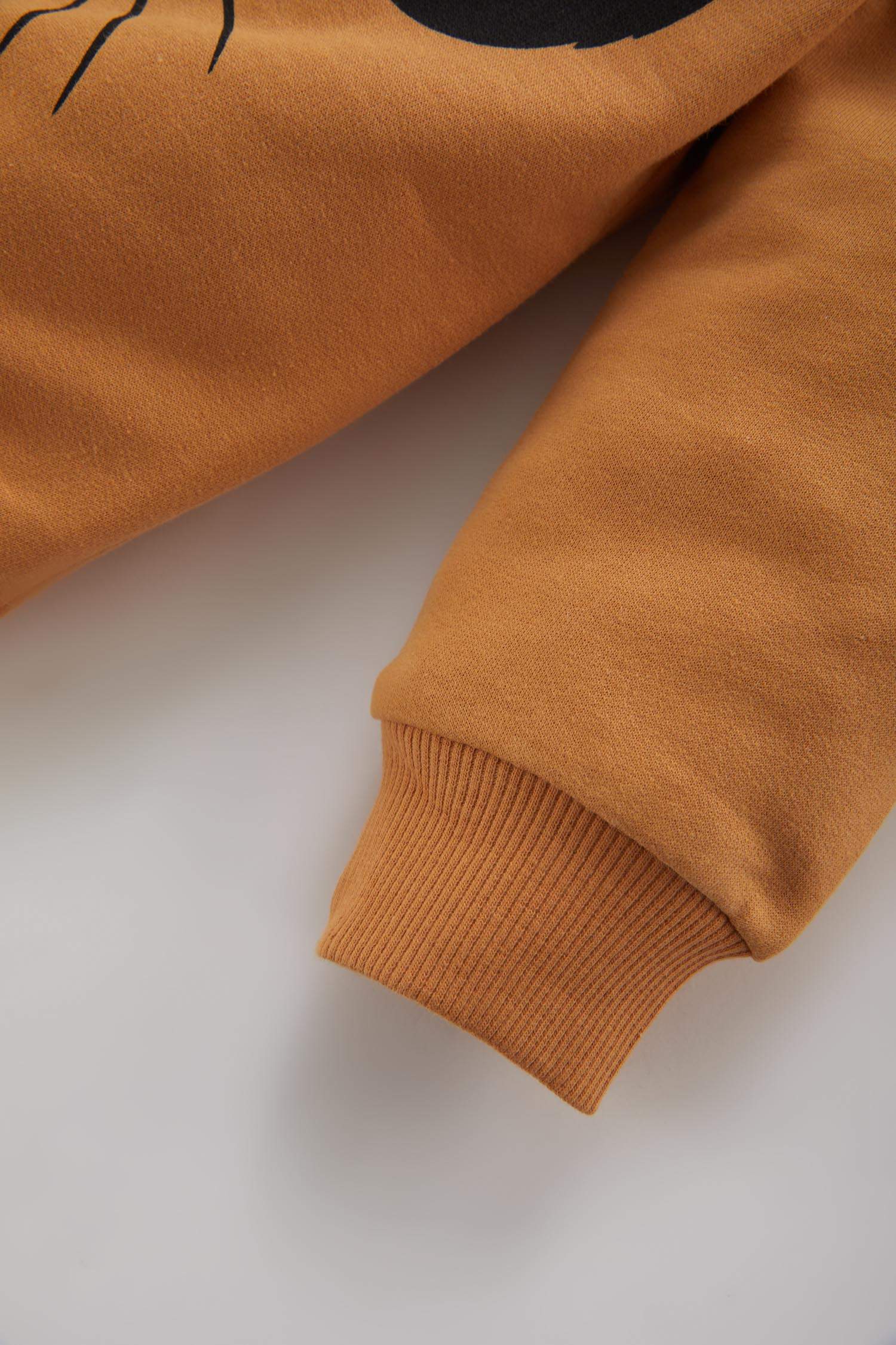 2 piece Regular Fit Crew Neck Lion King Licensed Set