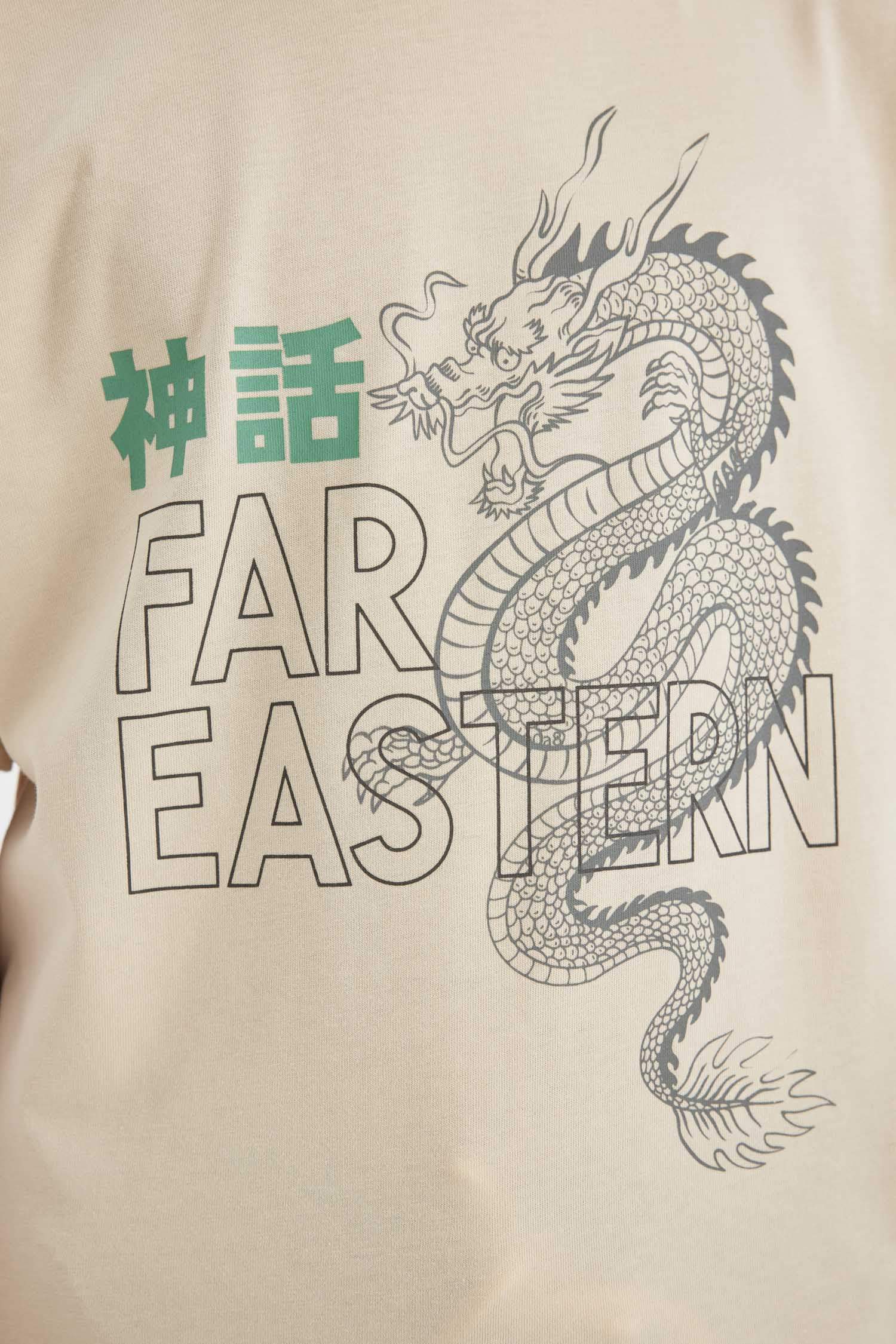 Boy Crew Neck Printed Short Sleeve T-Shirt