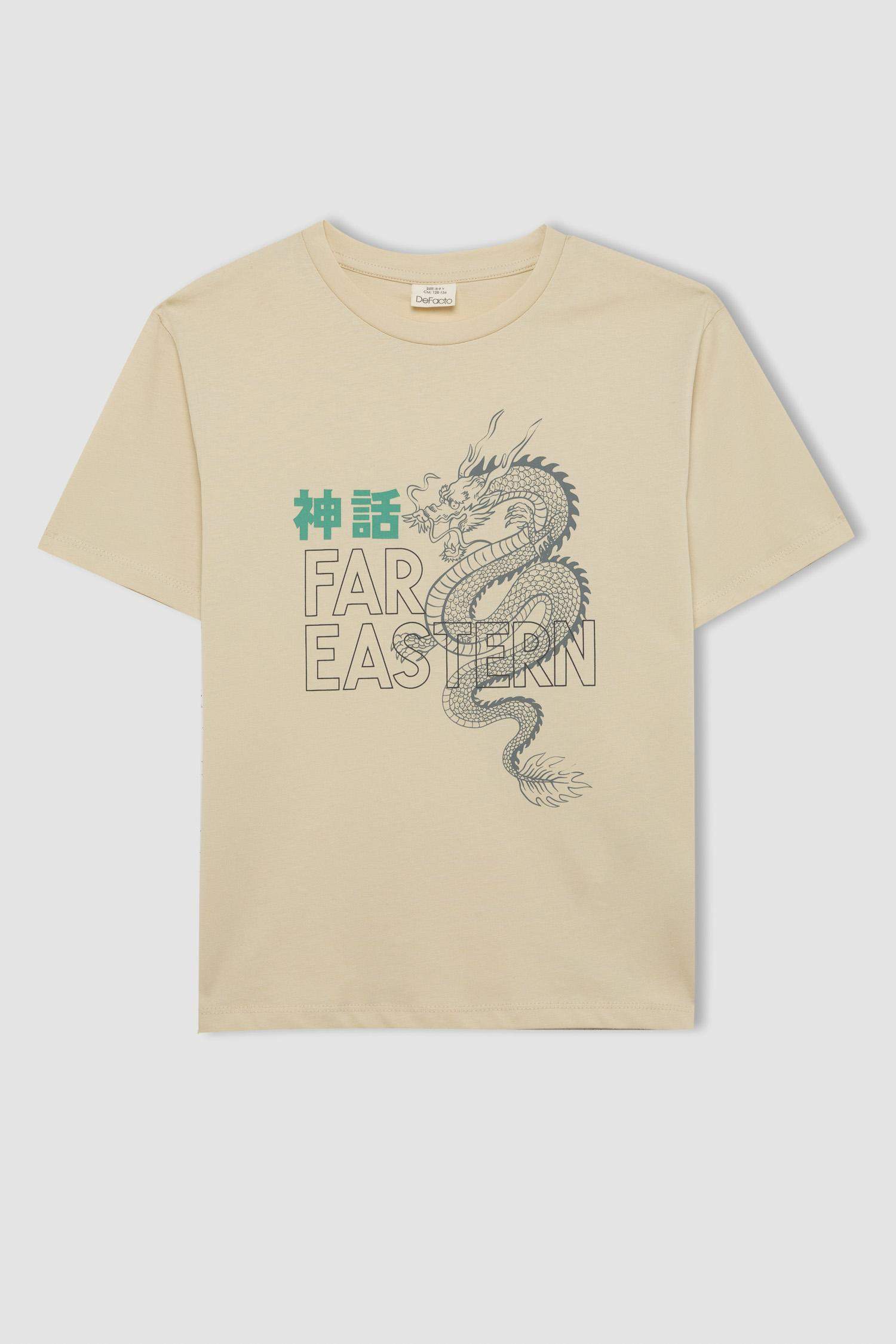 Boy Crew Neck Printed Short Sleeve T-Shirt