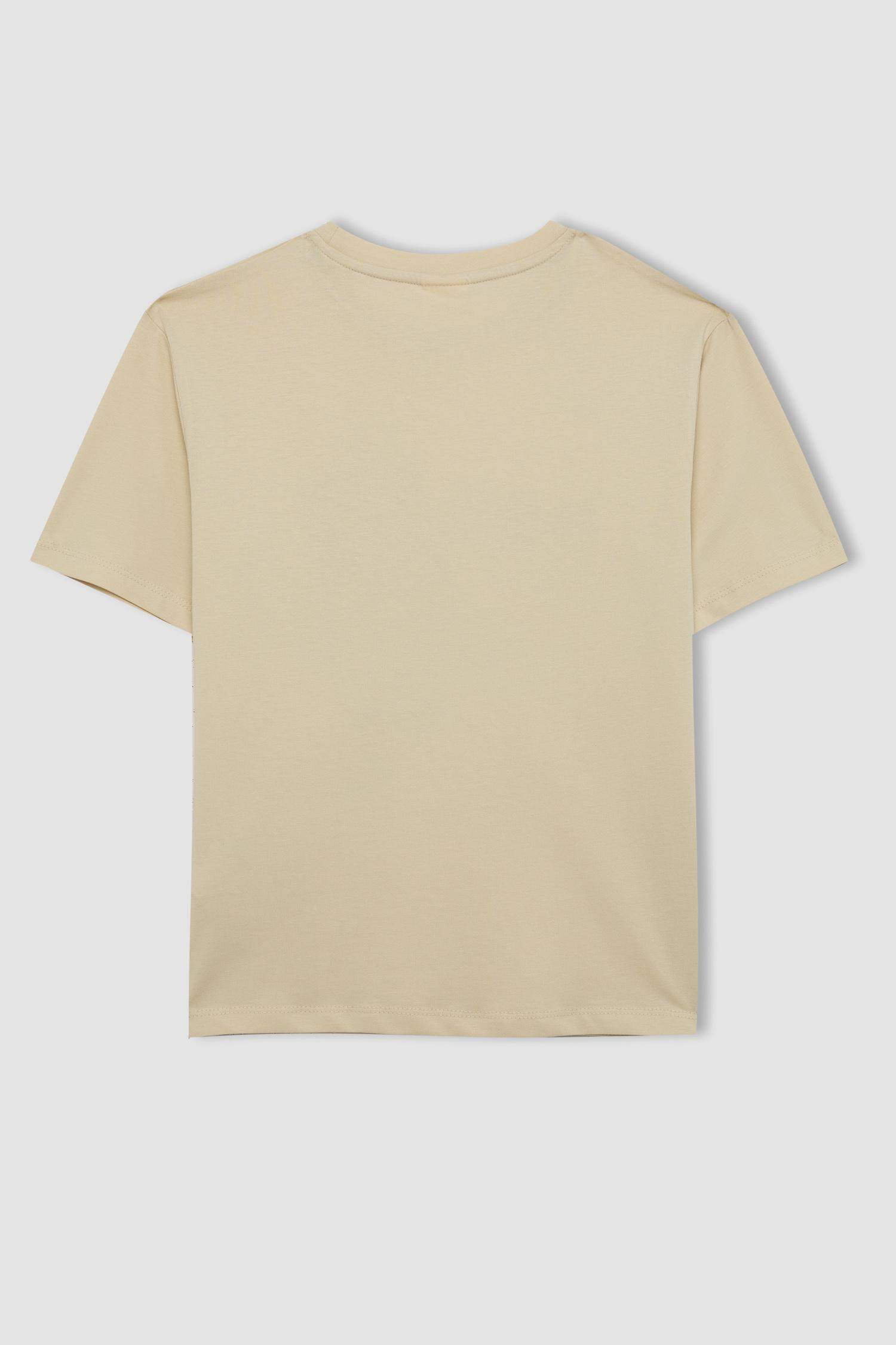 Boy Crew Neck Printed Short Sleeve T-Shirt