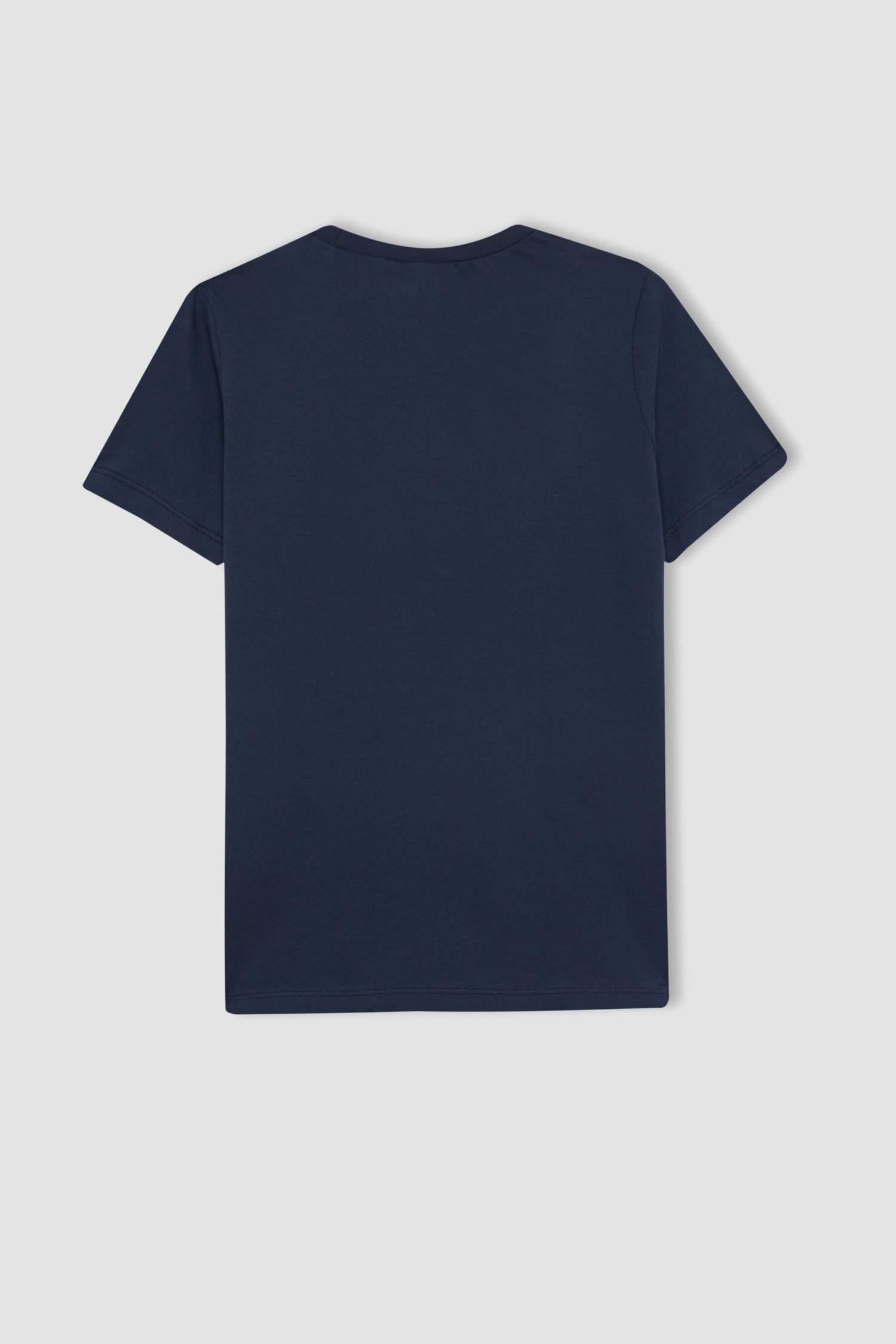 Boy Printed Short Sleeve T-Shirt Swim Shorts 2 Piece Set