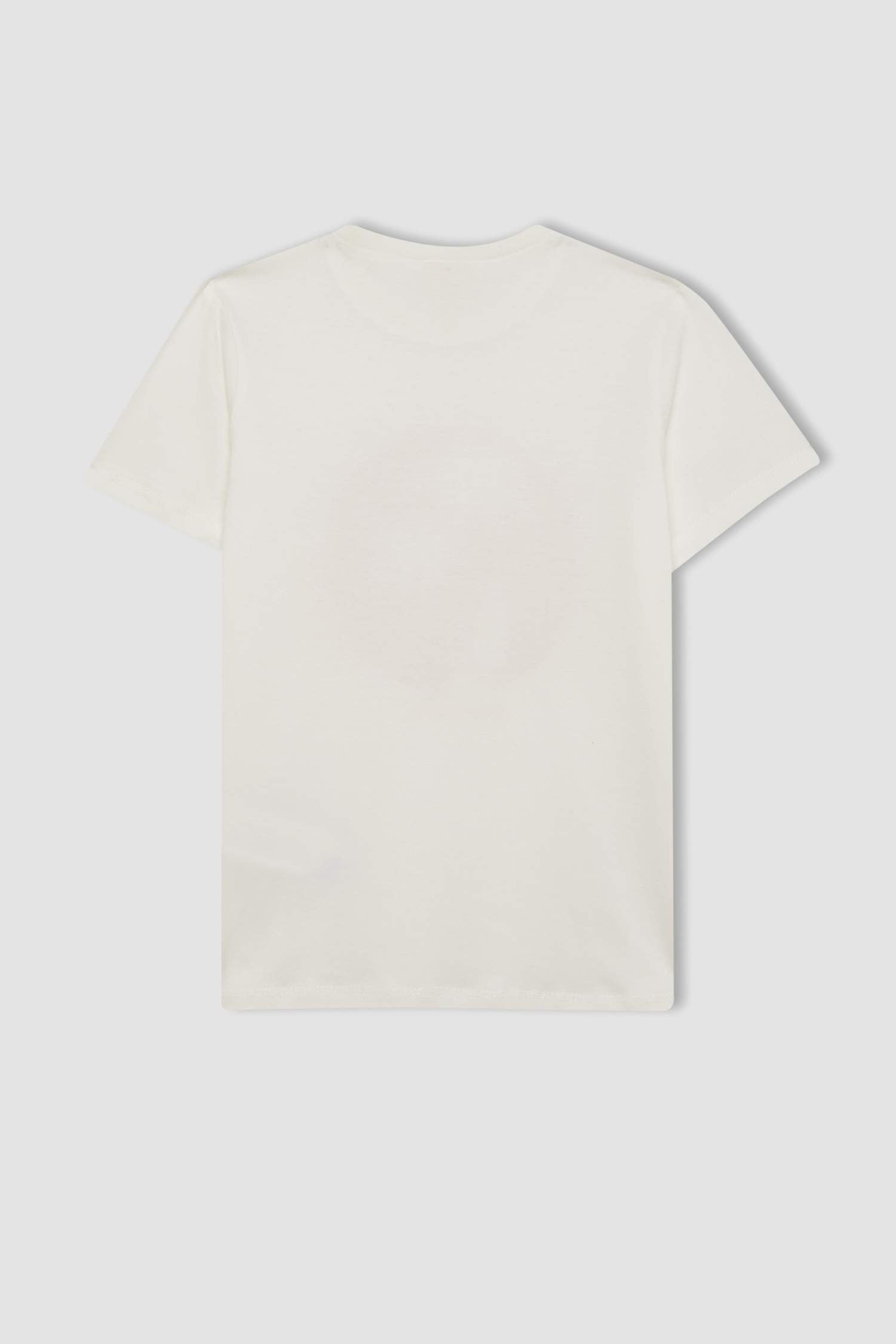 Boy Palm Tree Patterned T-Shirt Swim Shorts 2 Piece Set