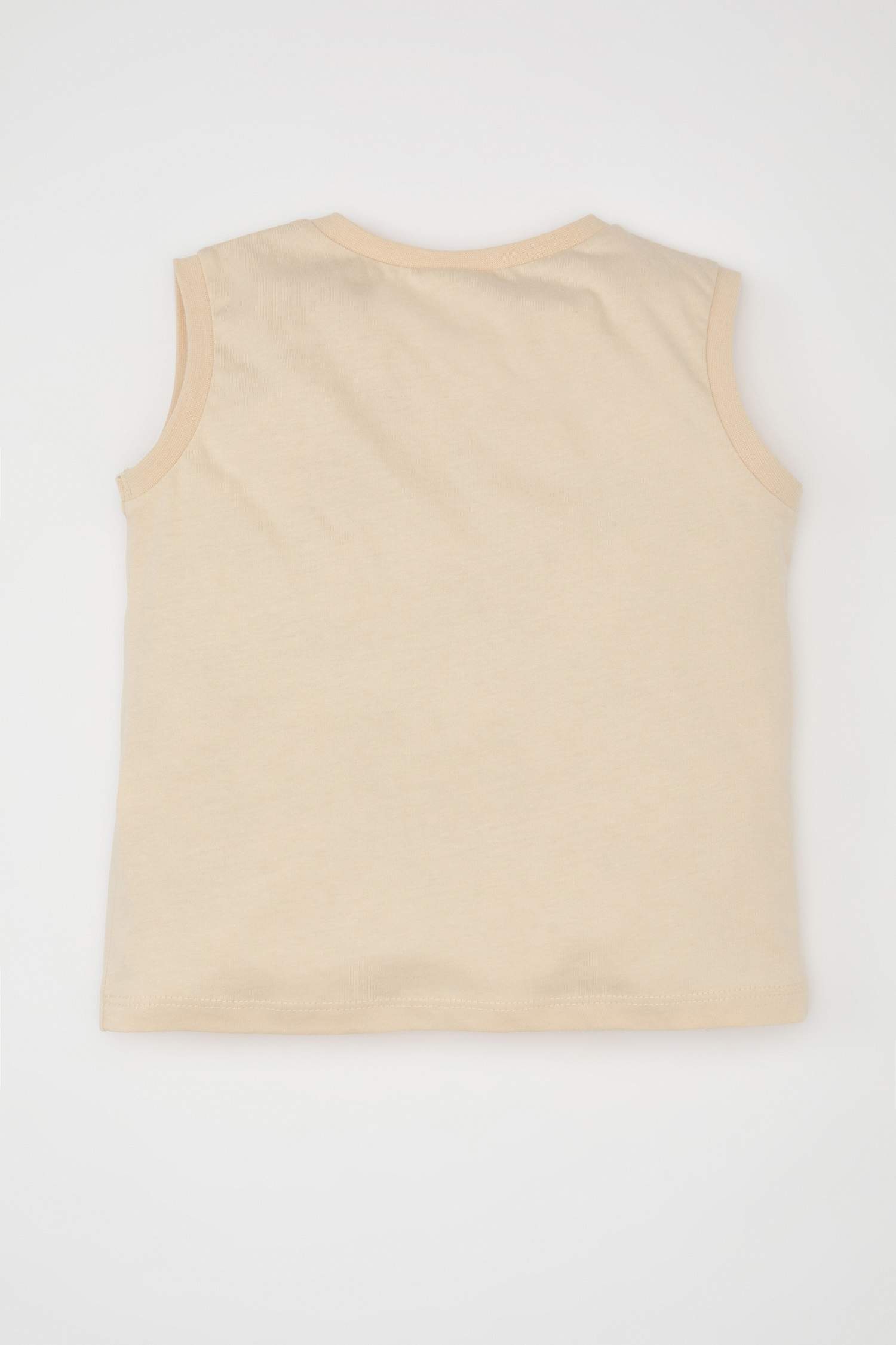 Baby Boy Crew Neck Printed Sleeveless T-Shirt