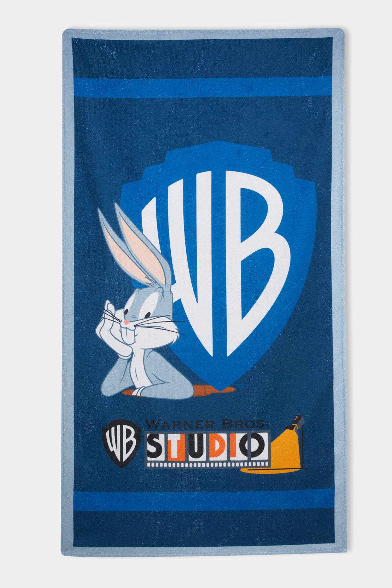 Boy Warner Bros Beach Towel