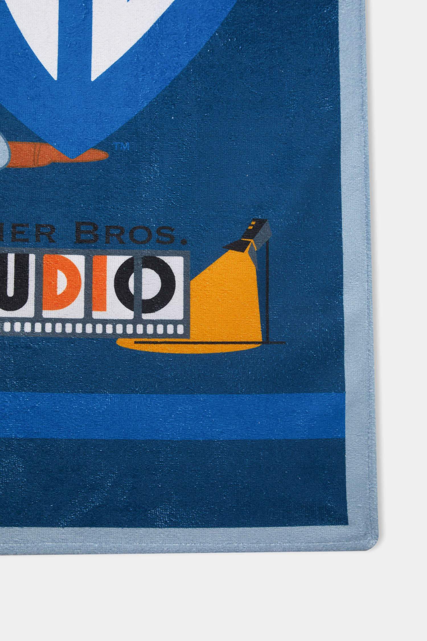 Boy Warner Bros Beach Towel