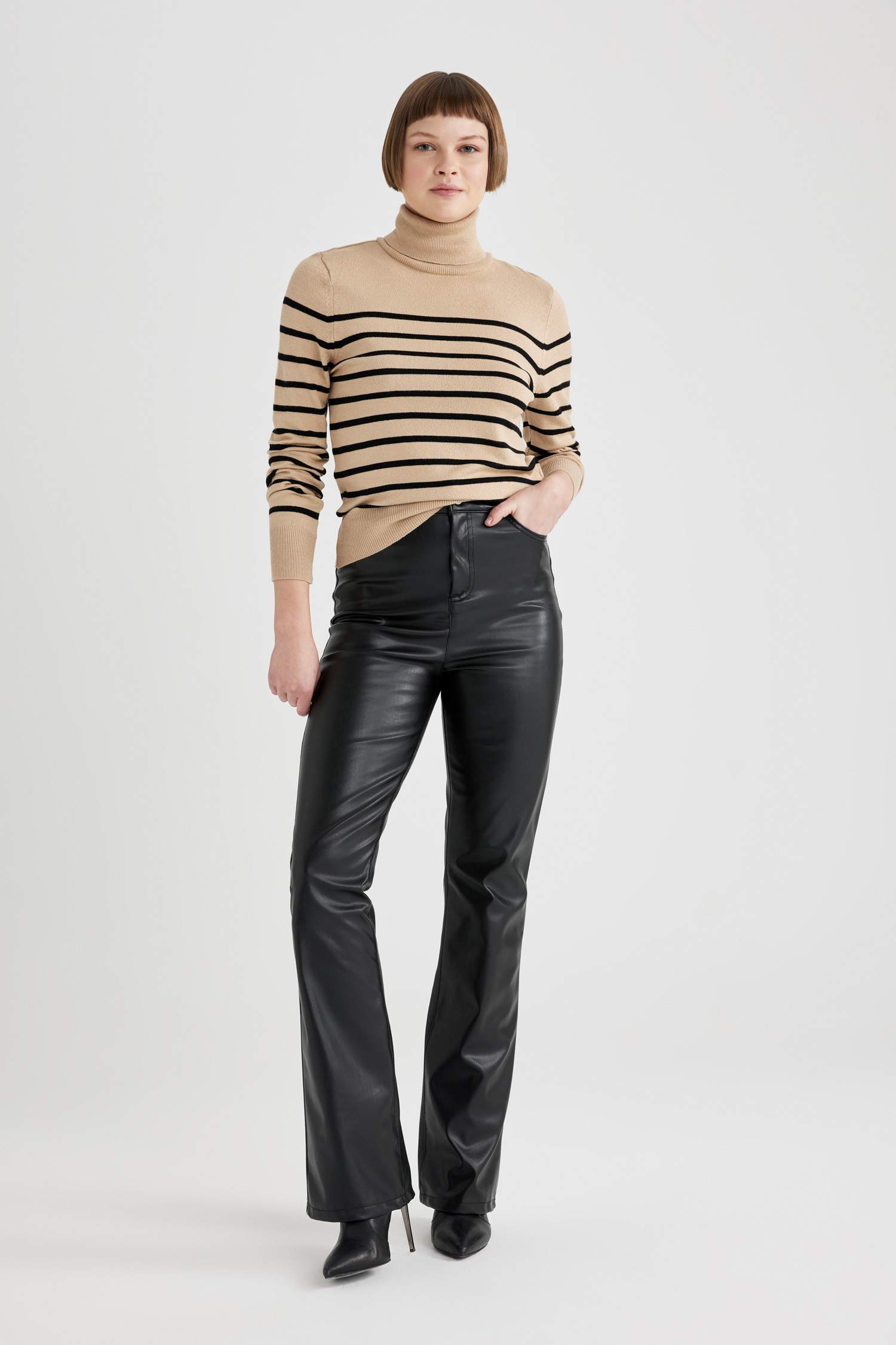 Regular Fit Striped Turtleneck Knitted Pullover