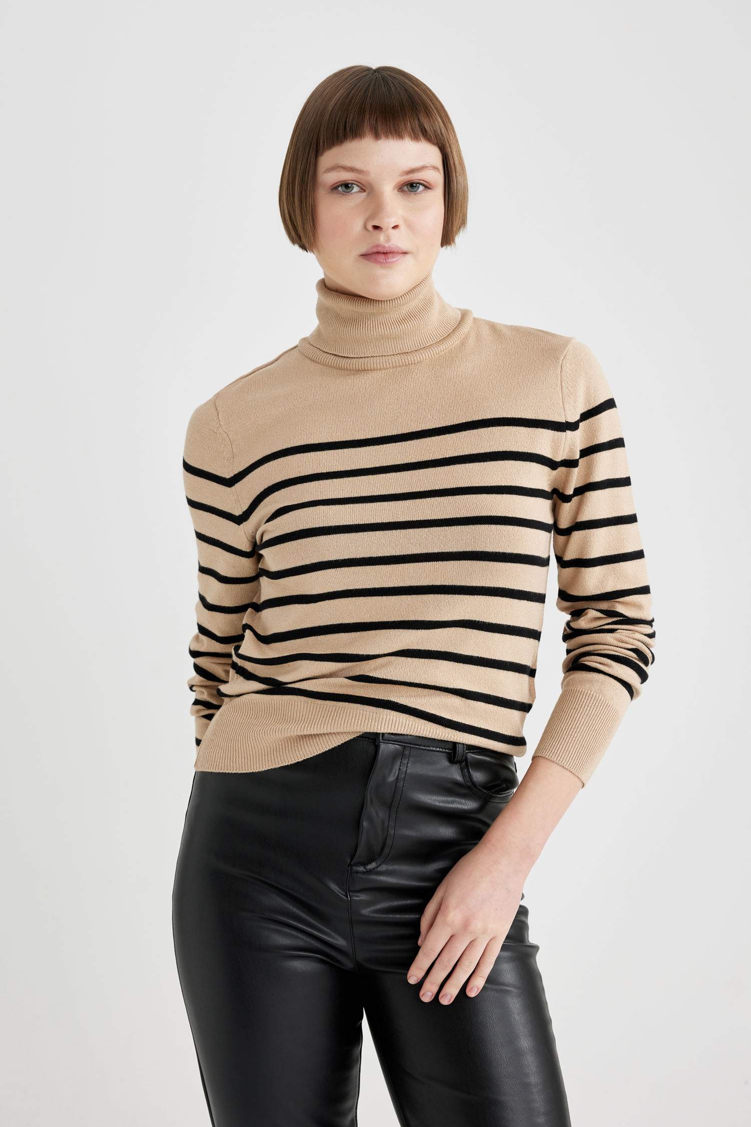 Regular Fit Striped Turtleneck Knitted Pullover