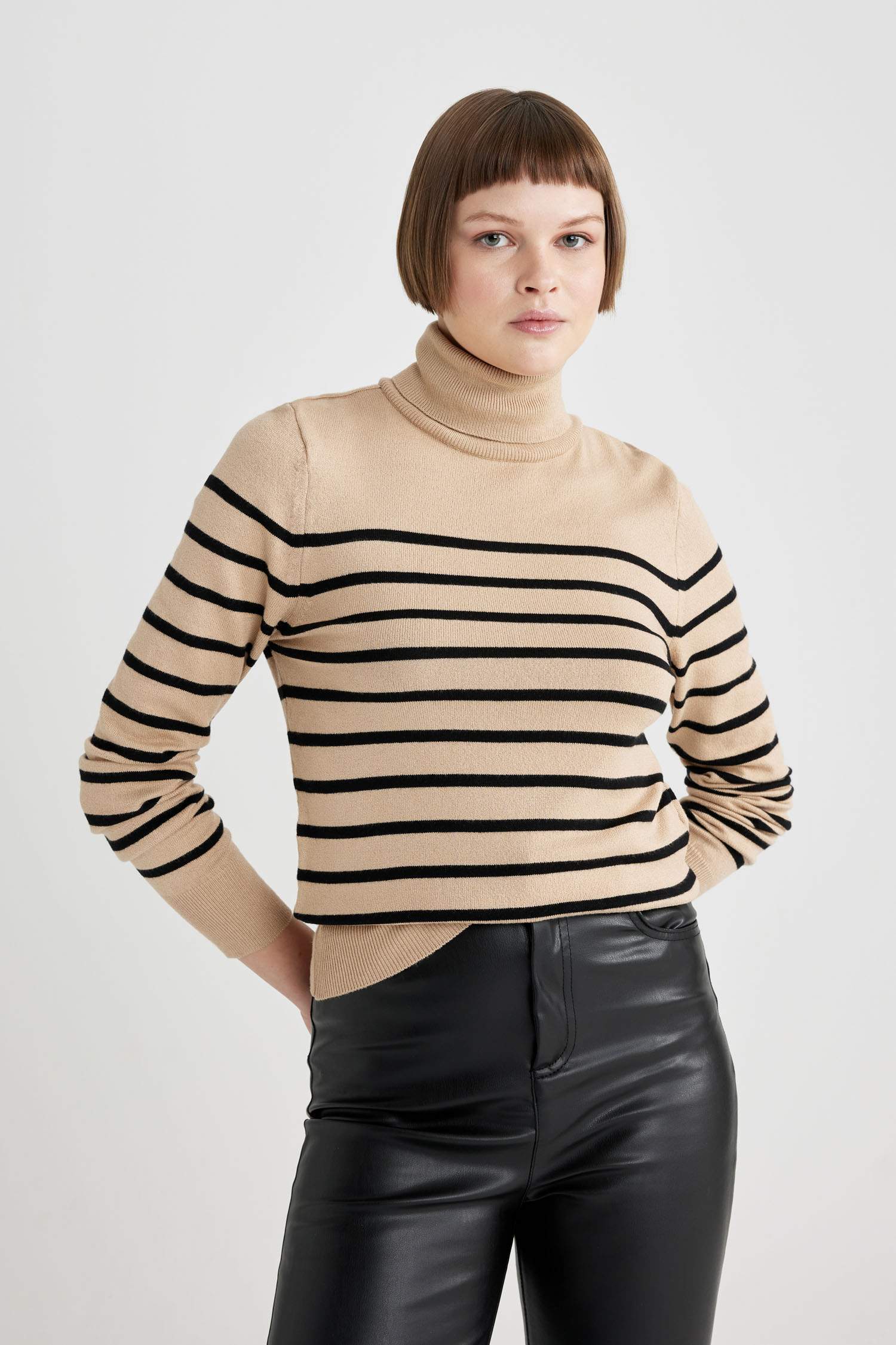 Regular Fit Striped Turtleneck Knitted Pullover