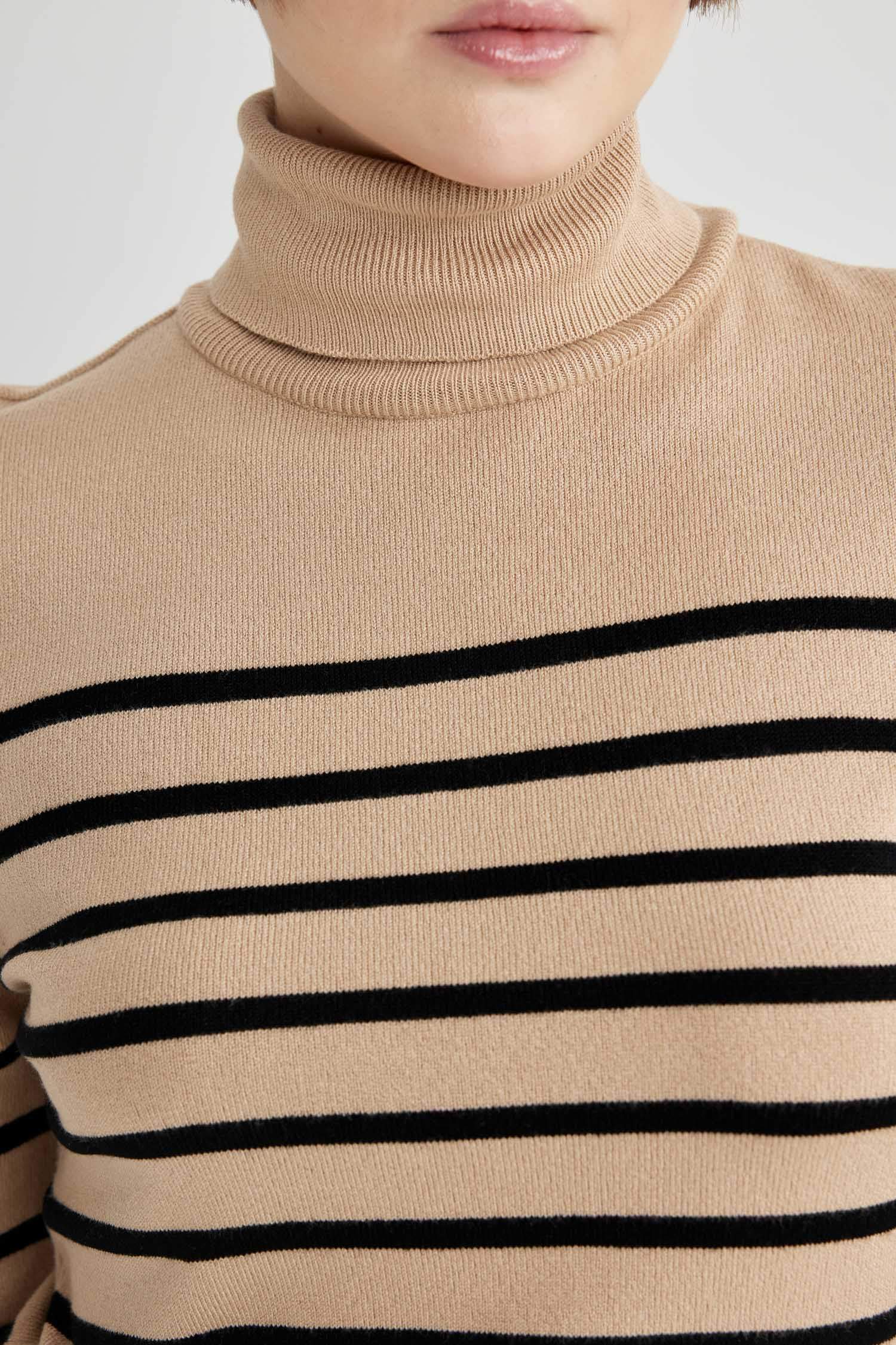 Regular Fit Striped Turtleneck Knitted Pullover