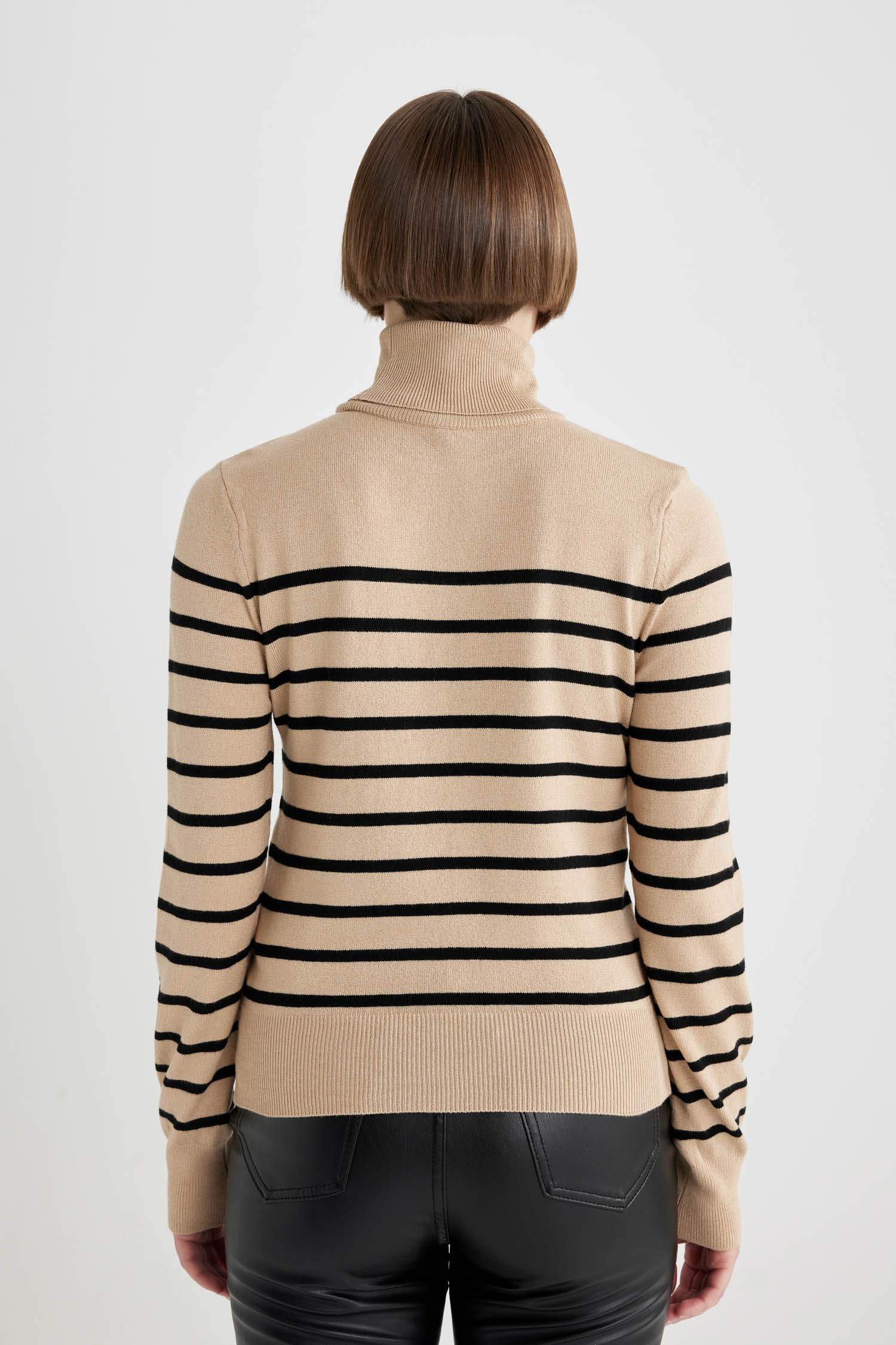 Regular Fit Striped Turtleneck Knitted Pullover