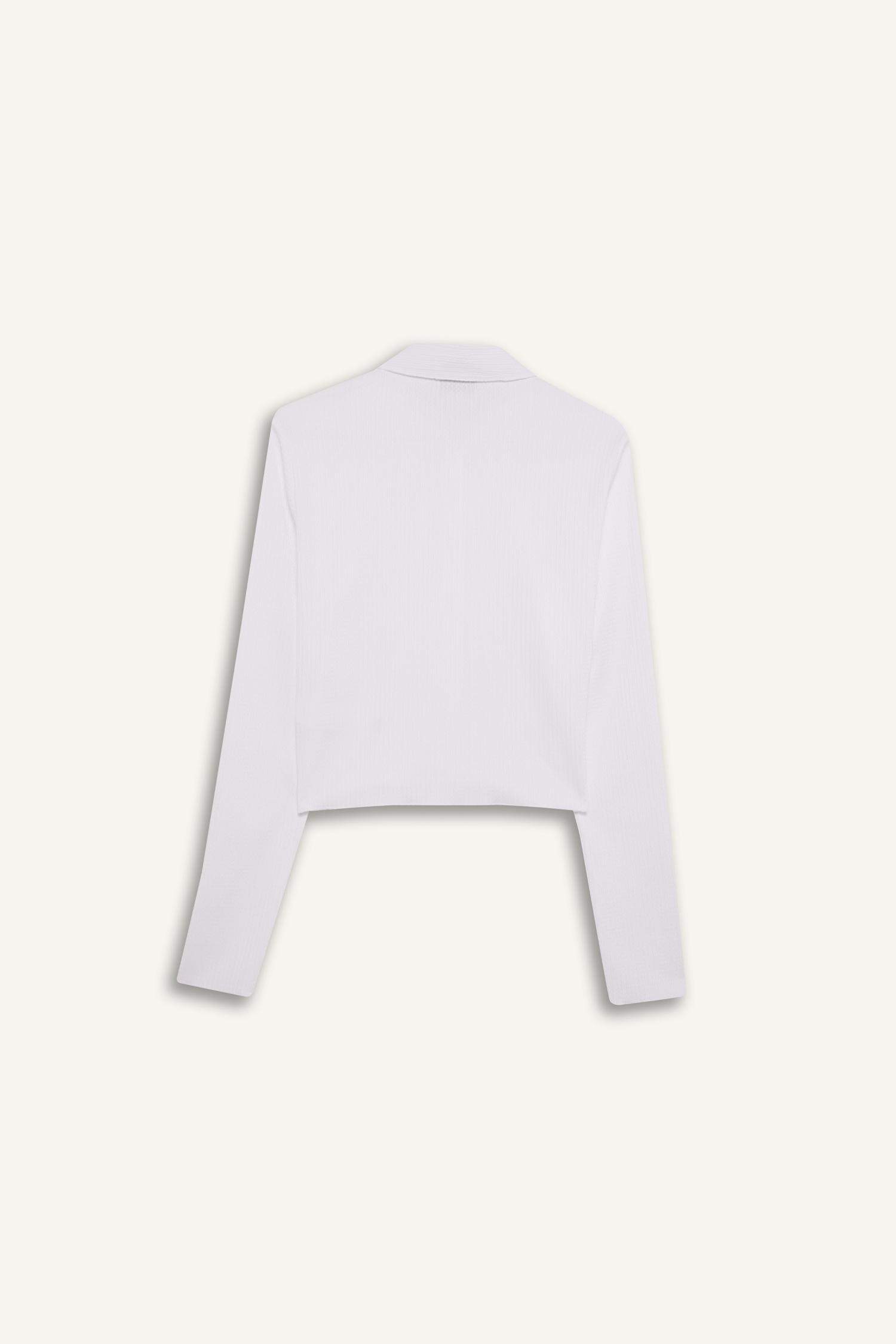 Slim Fit Long Sleeve Shirt