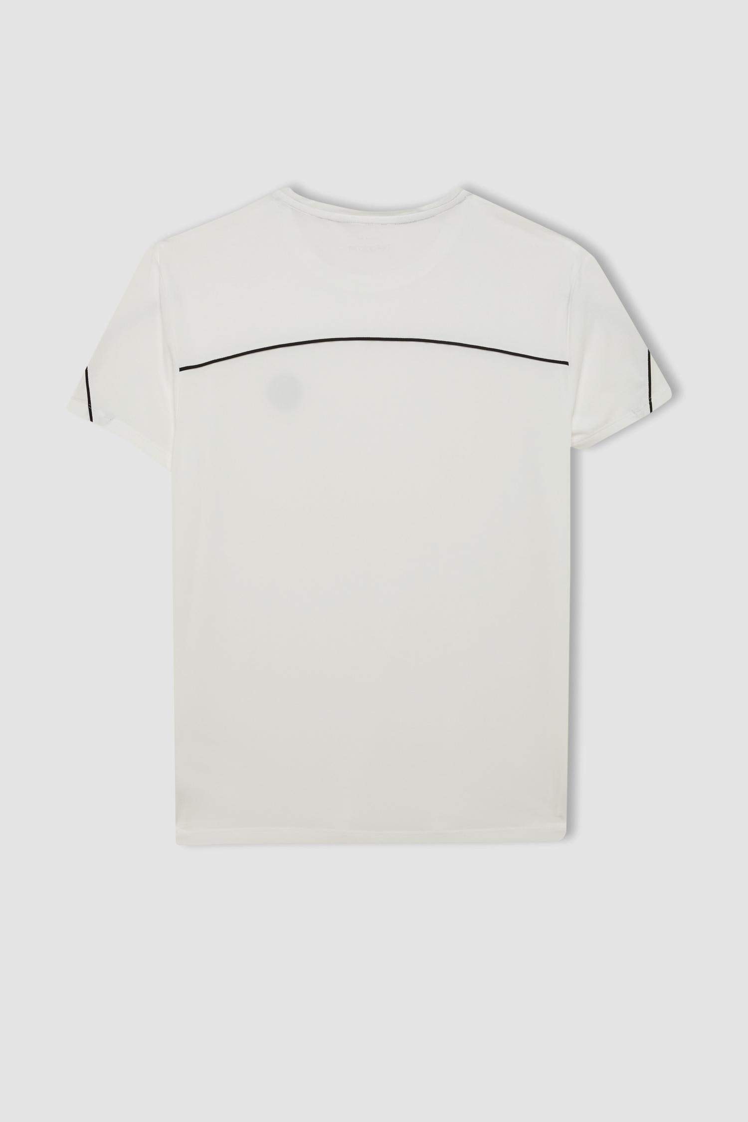 Standard Fit Crew Neck Printed Heavy Fabric Sports T-Shirt