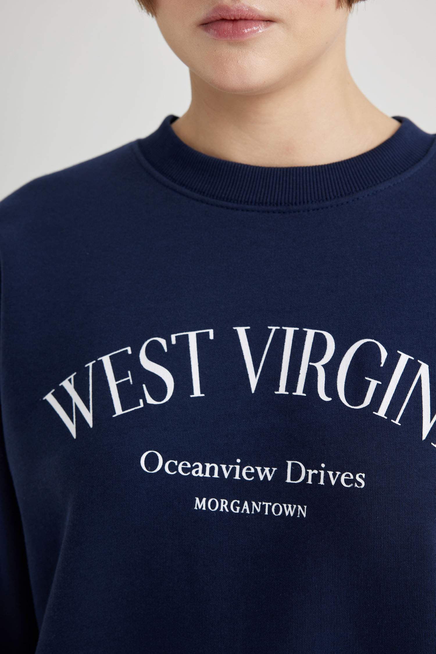 Relax Fit Crew Neck Printed Thick Sweatshirt