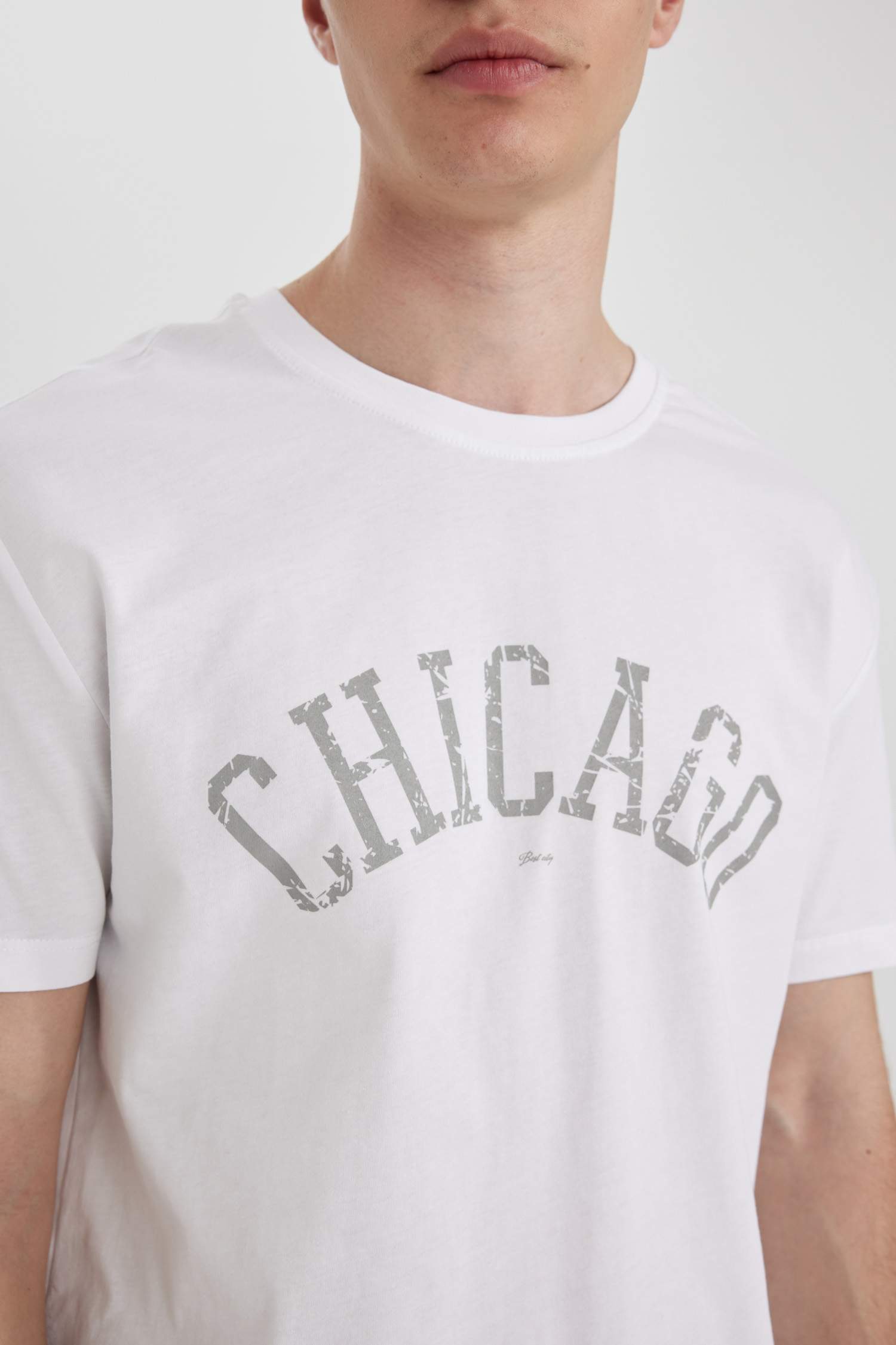 Regular Fit Crew Neck Printed Short Sleeve T-Shirt