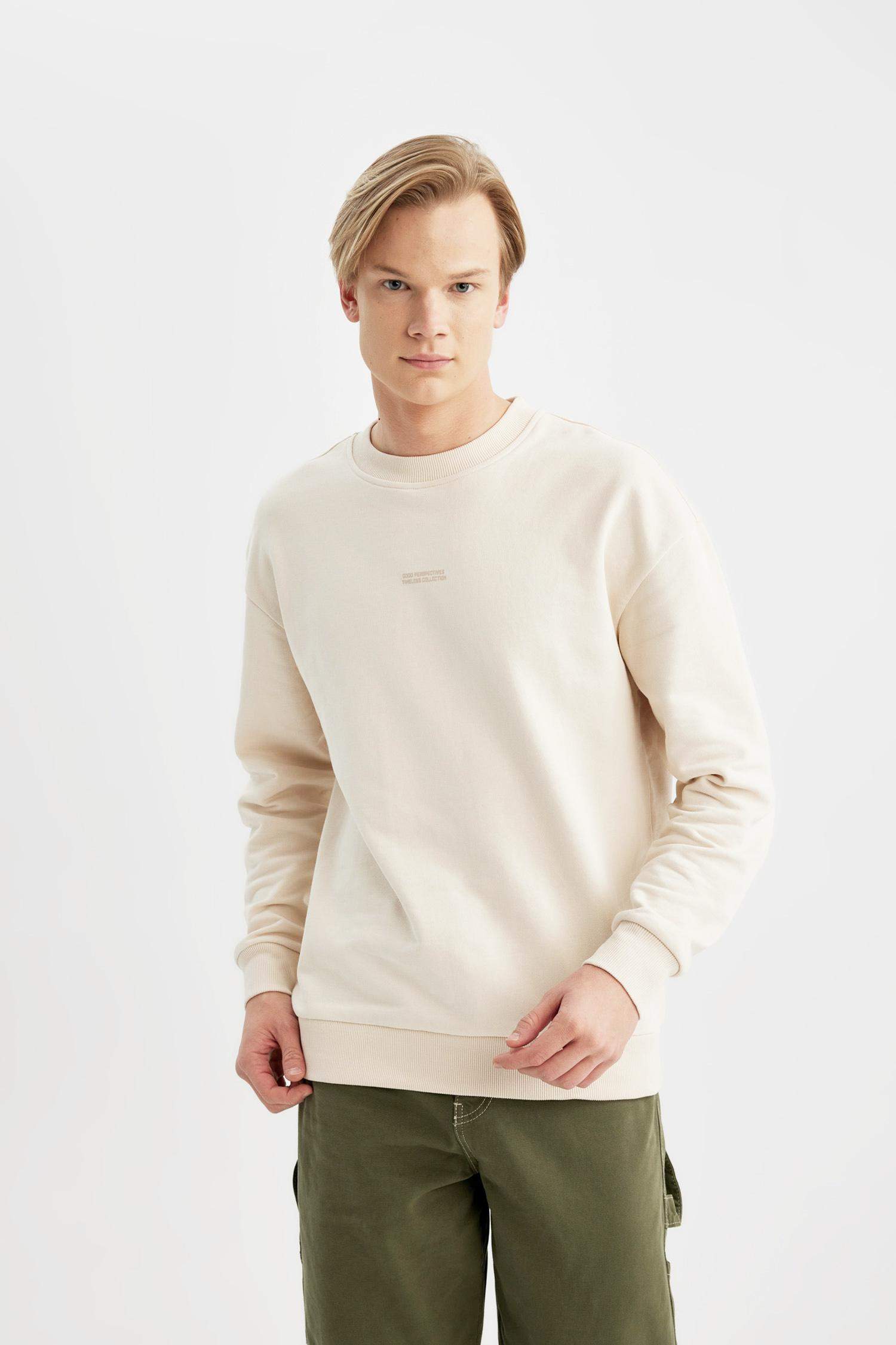Boxy Fit Crew Neck Printed Sweatshirt