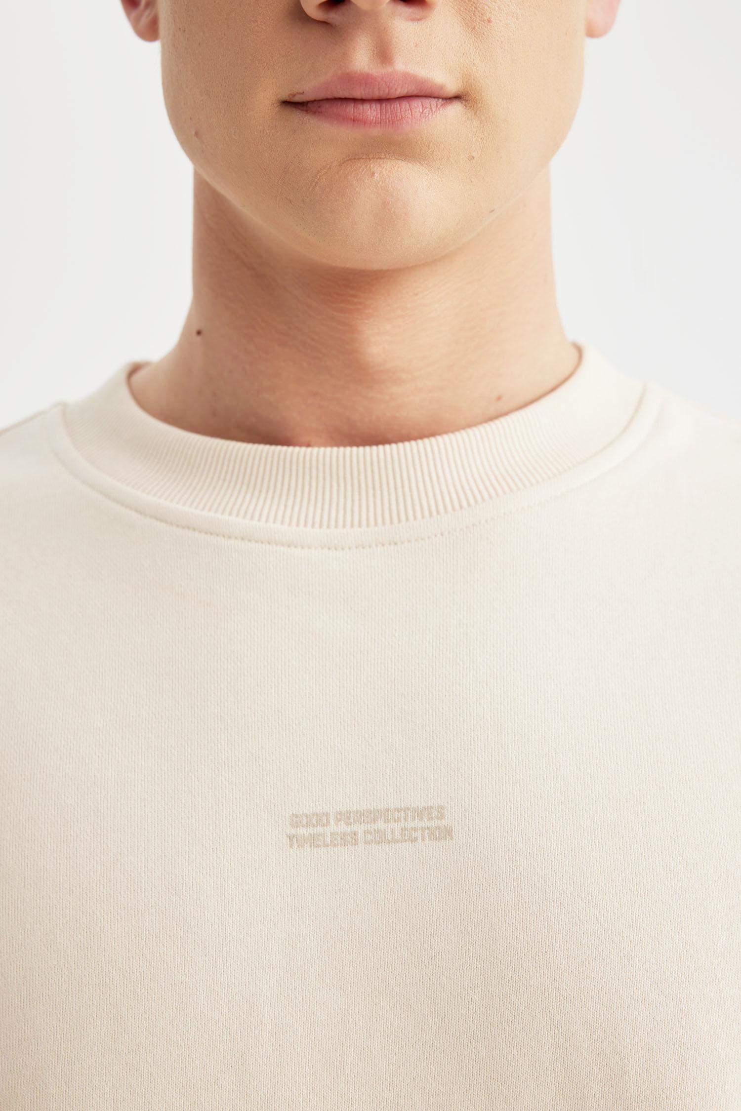 Boxy Fit Crew Neck Printed Sweatshirt