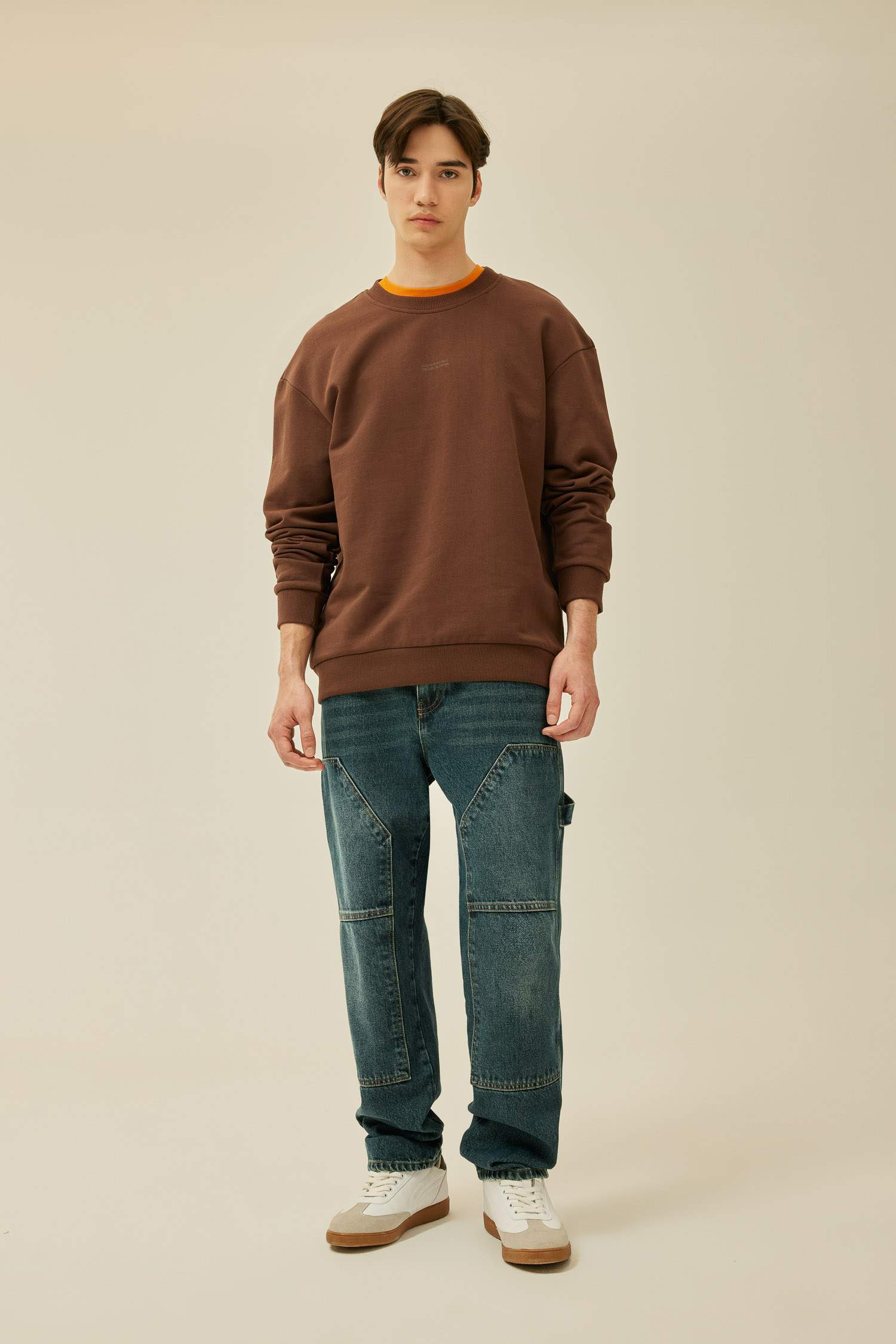 Boxy Fit Crew Neck Printed Sweatshirt