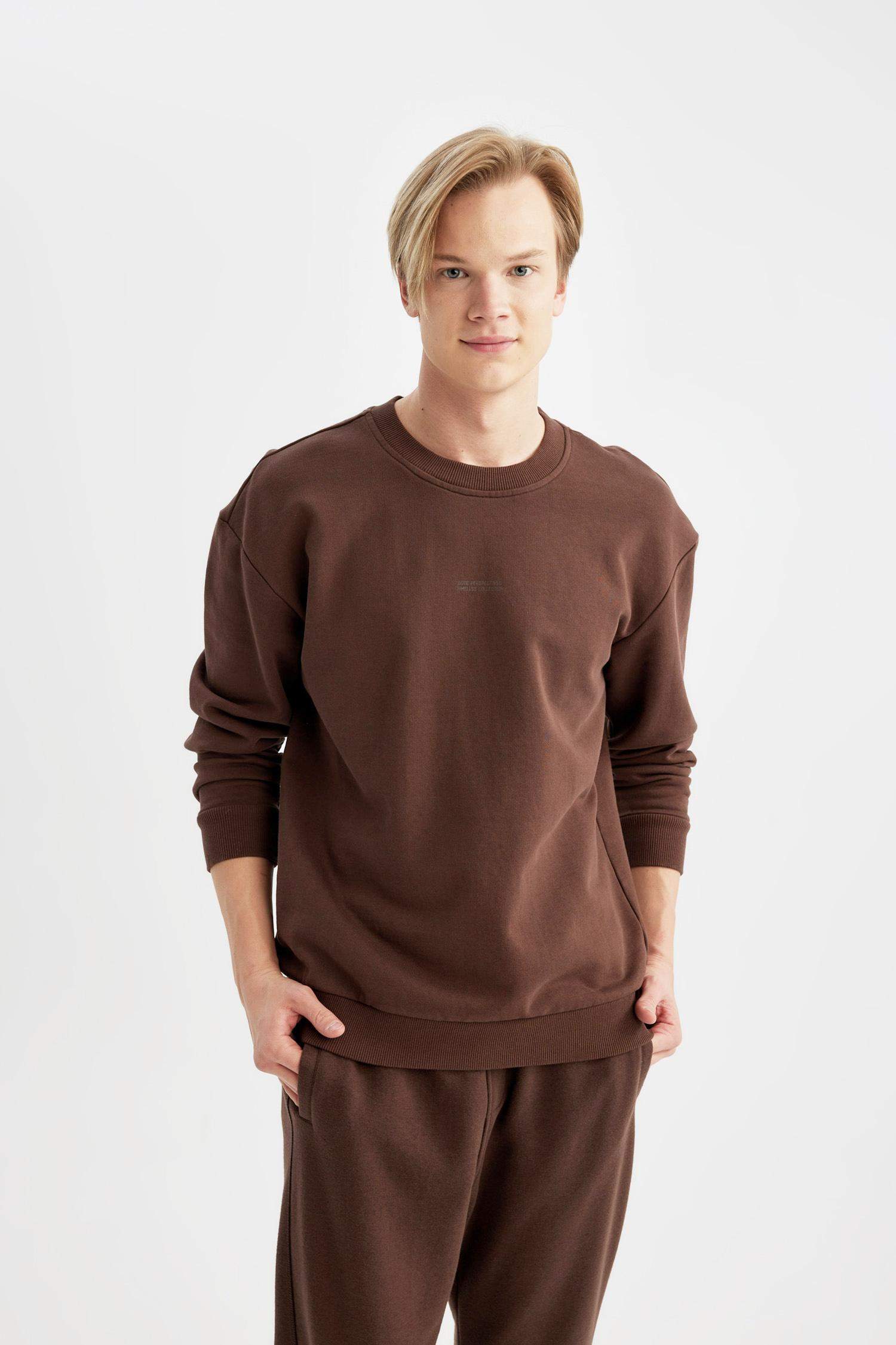 Boxy Fit Crew Neck Printed Sweatshirt