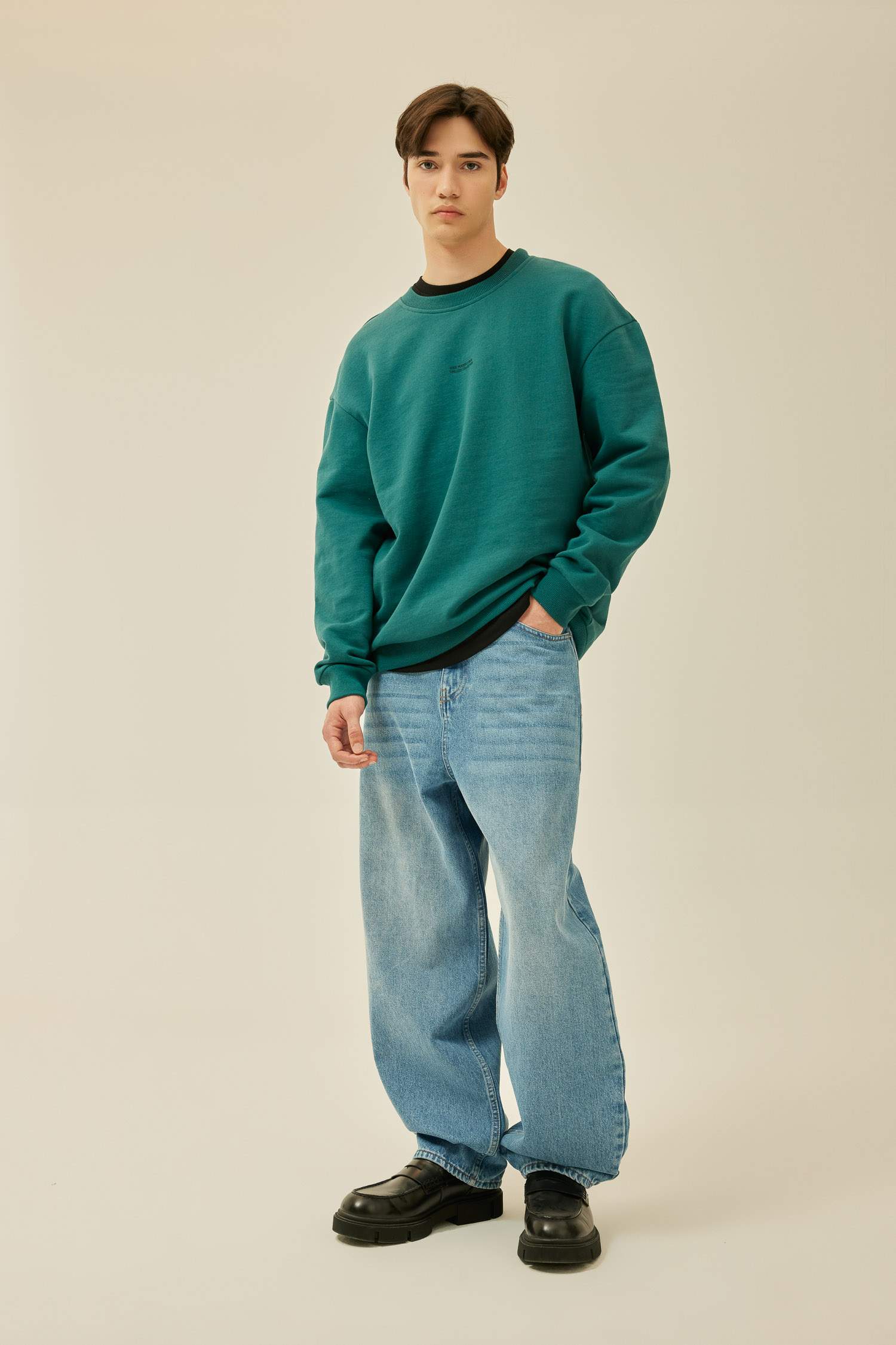 Boxy Fit Crew Neck Printed Sweatshirt