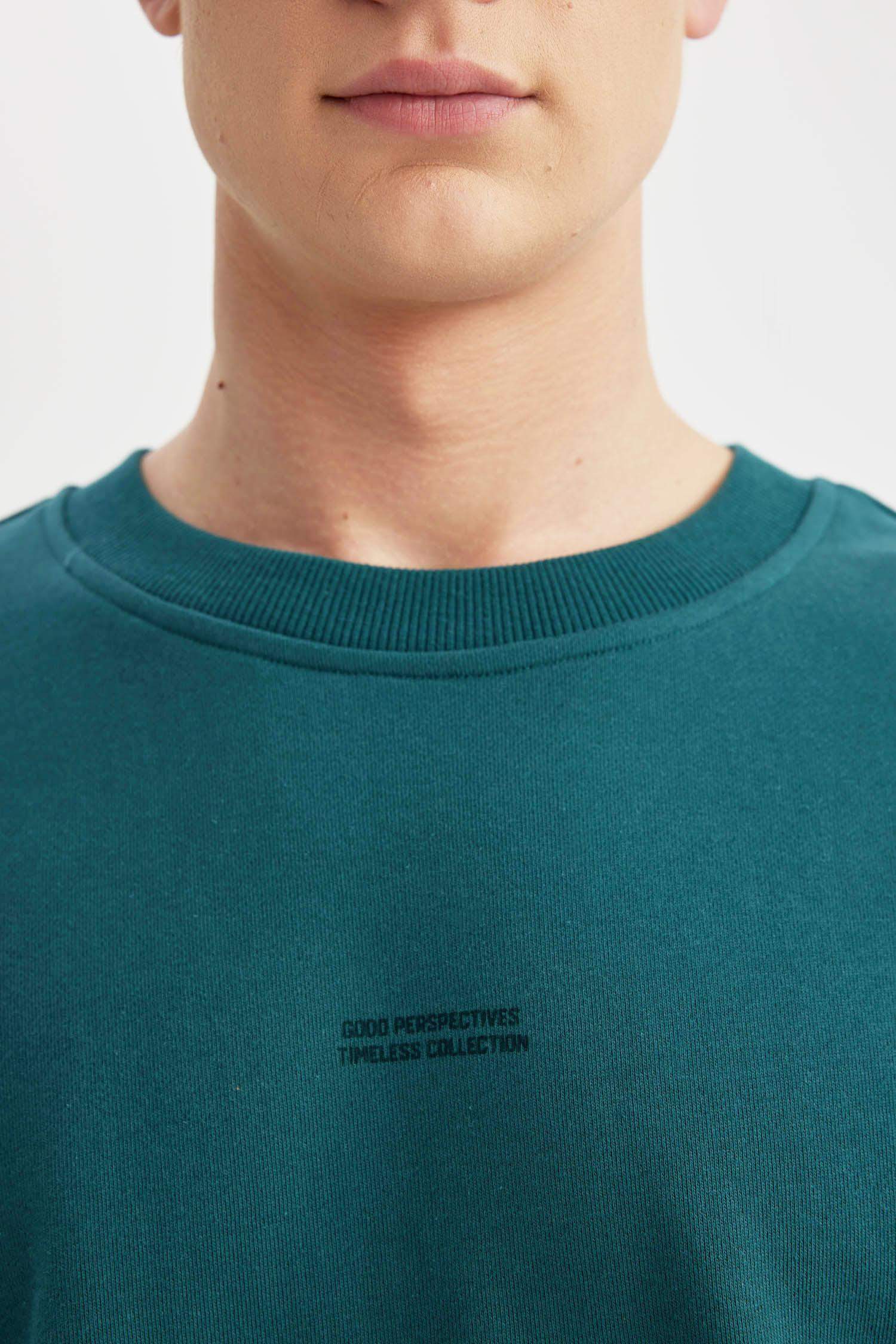 Boxy Fit Crew Neck Printed Sweatshirt