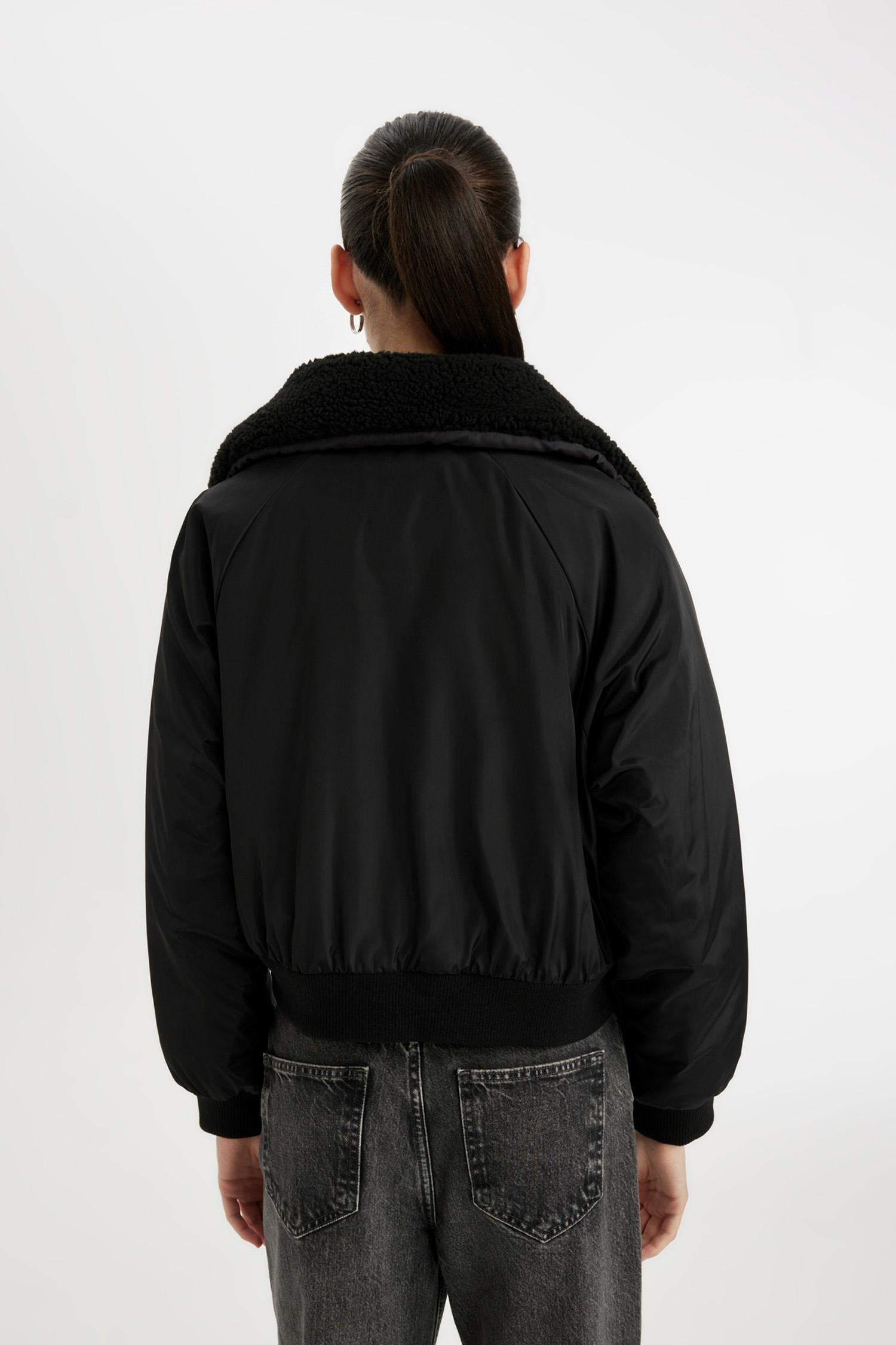 жейде мойыны тафетта Пальто