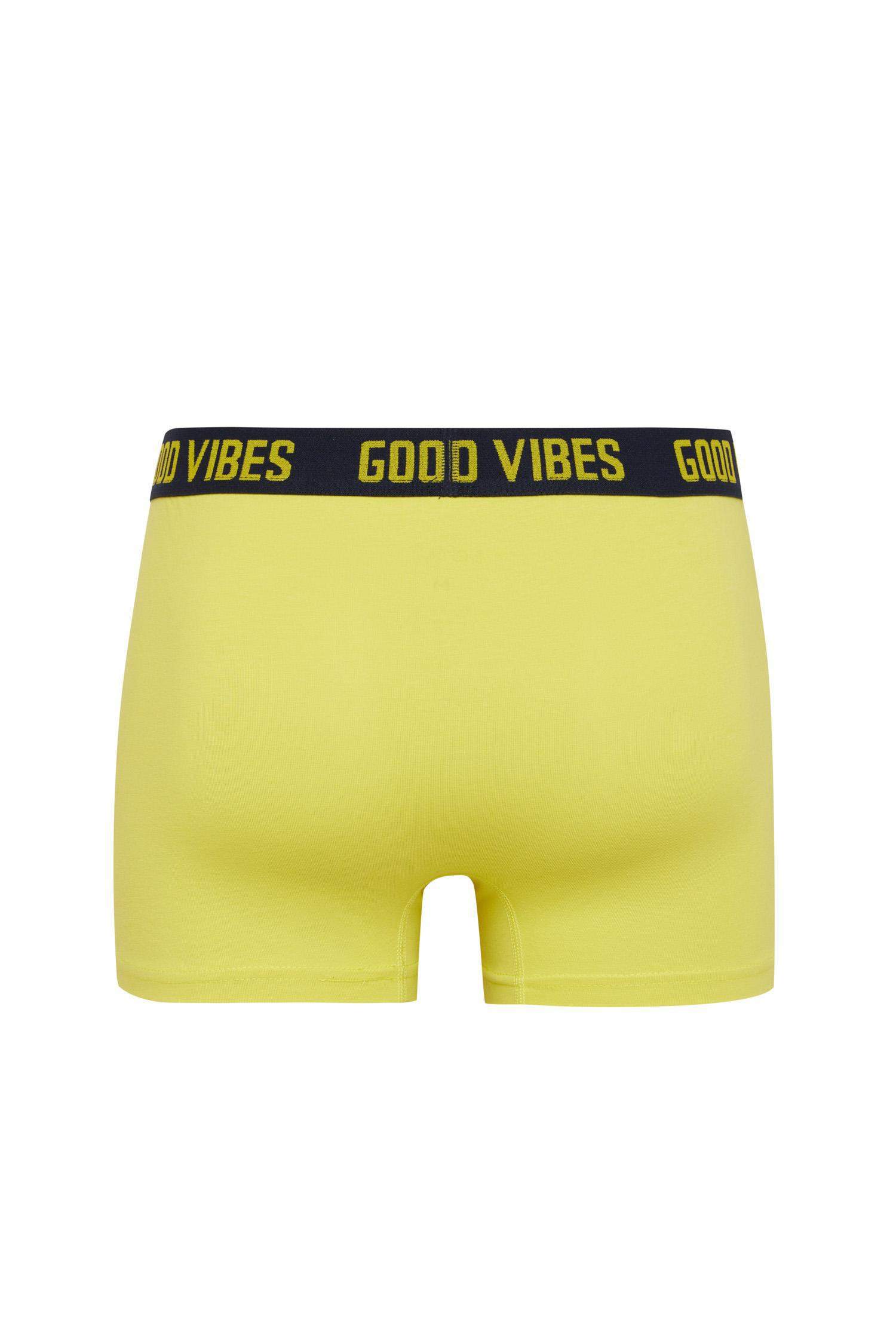 Regular Fit Desenli 3'lü Boxer