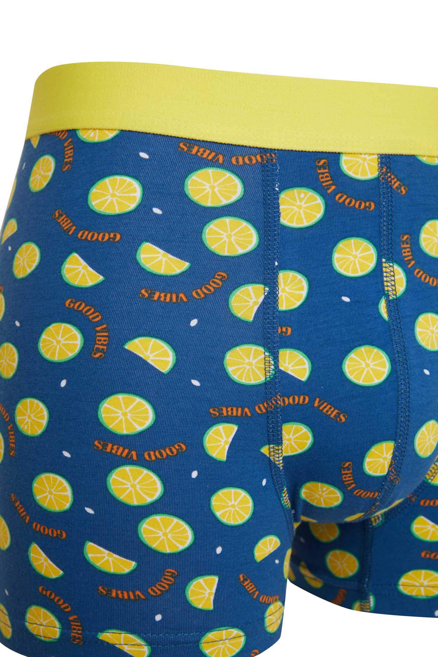 Regular Fit Desenli 3'lü Boxer