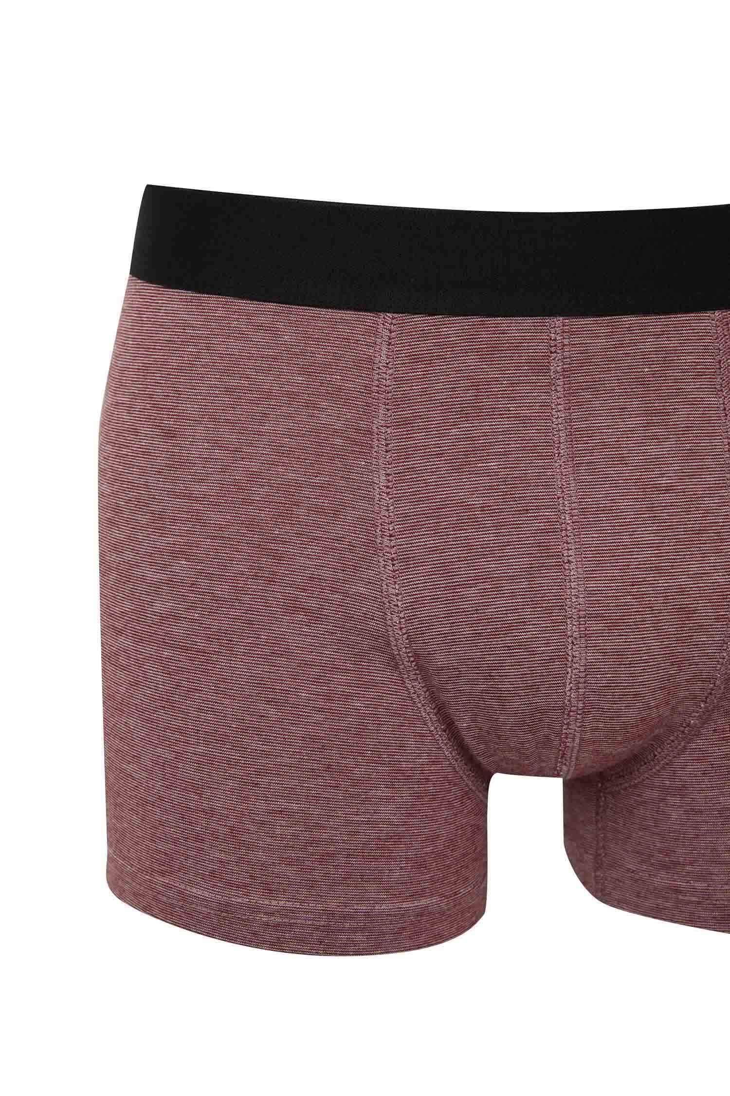 Regular Fit Çizgili 3'lü Boxer