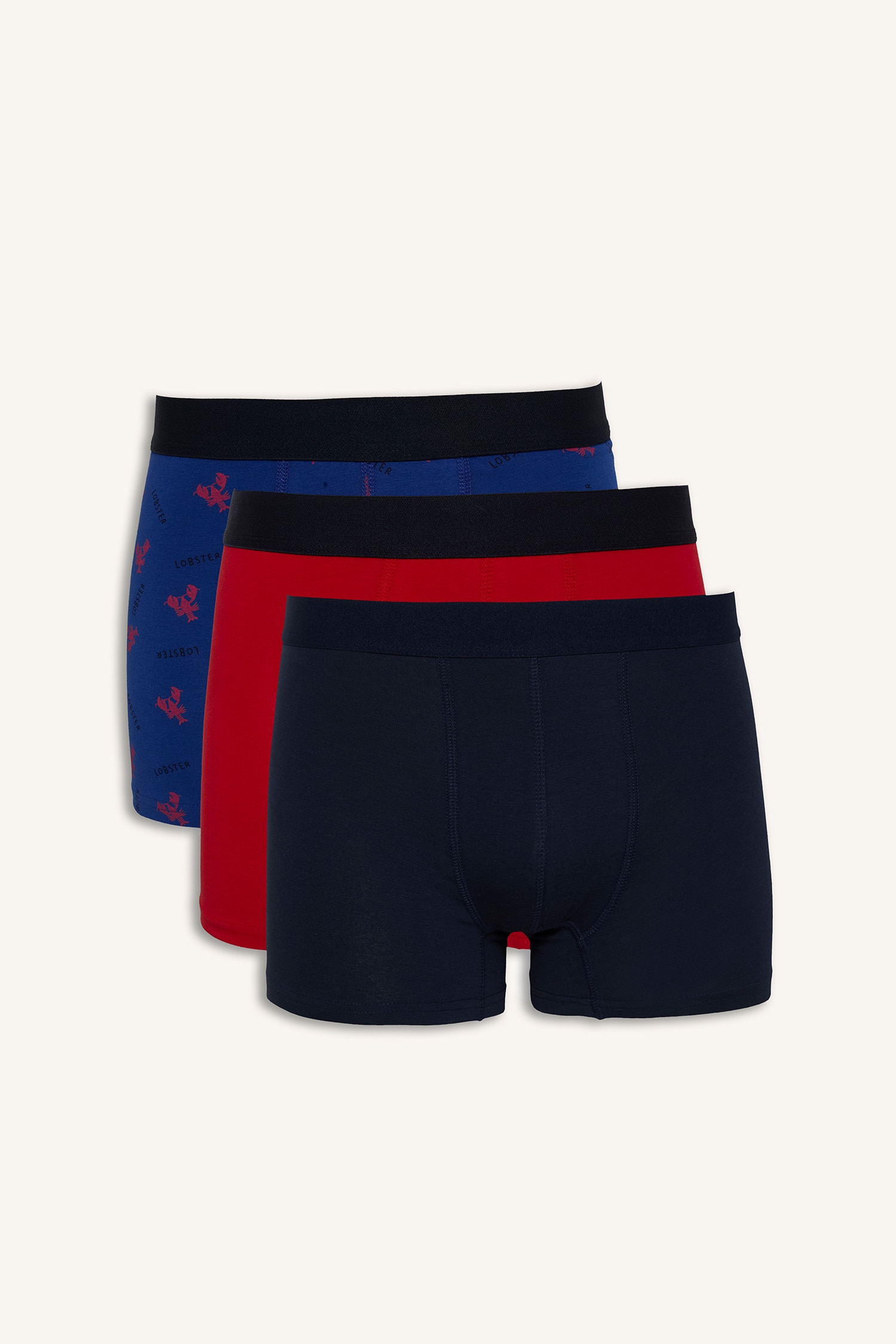 DeFacto Regular Fit Hayvan Baskılı Boxer Seti görsel 2