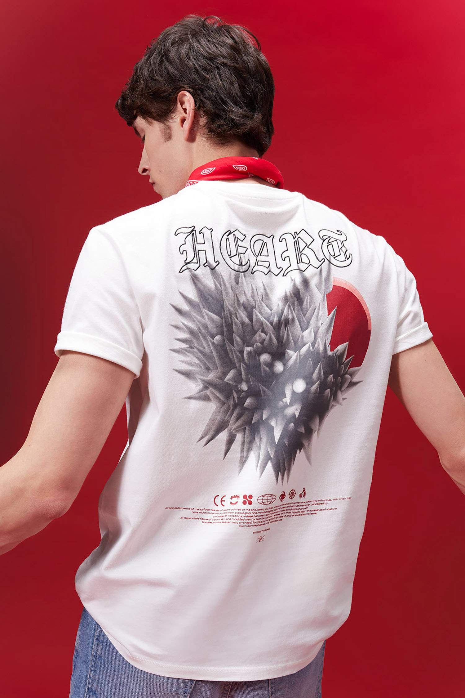 تيشيرت بطبعة من الخلف قصة عادية بياخة مستديرة